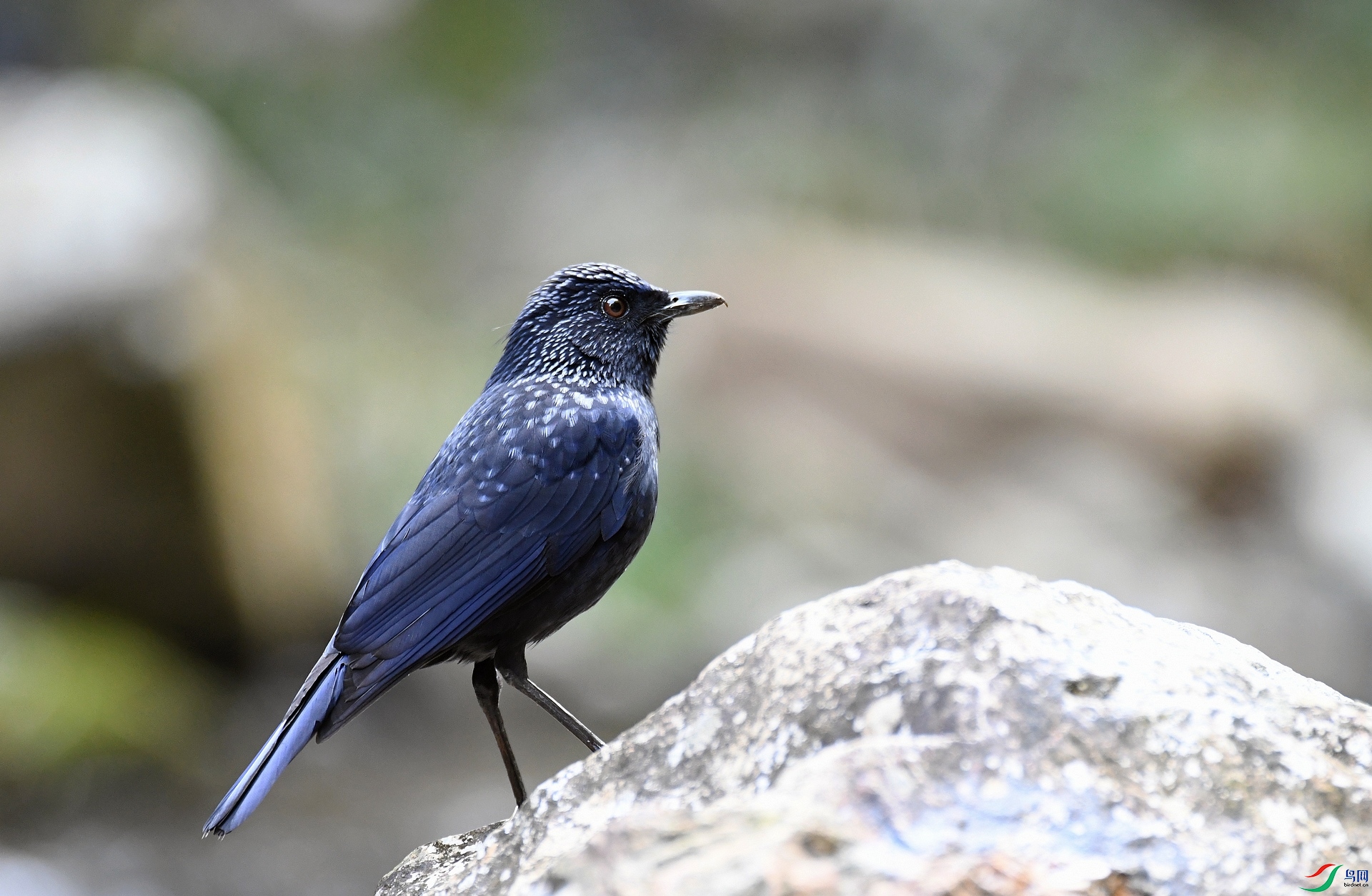 DSC_4092.jpg