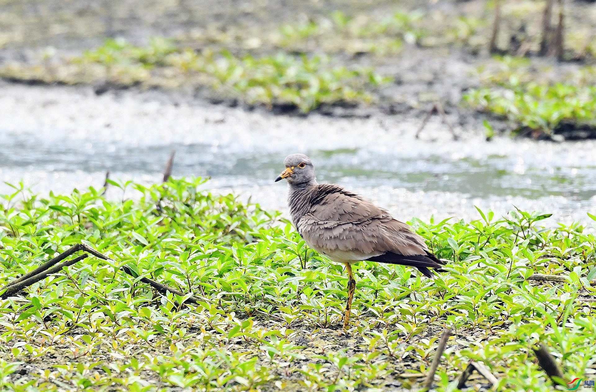 DSC_8719.jpg