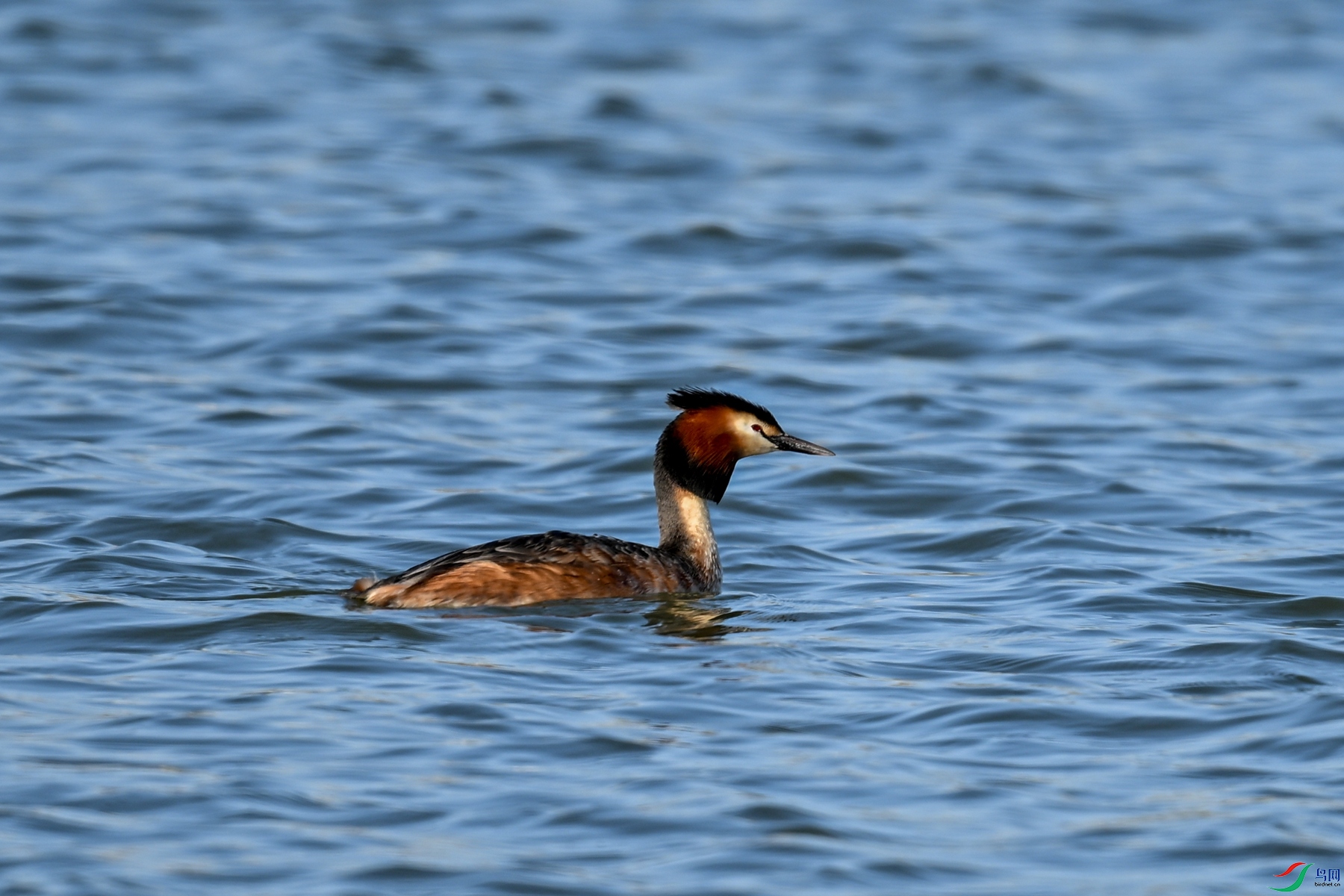 DSC_2061.JPG