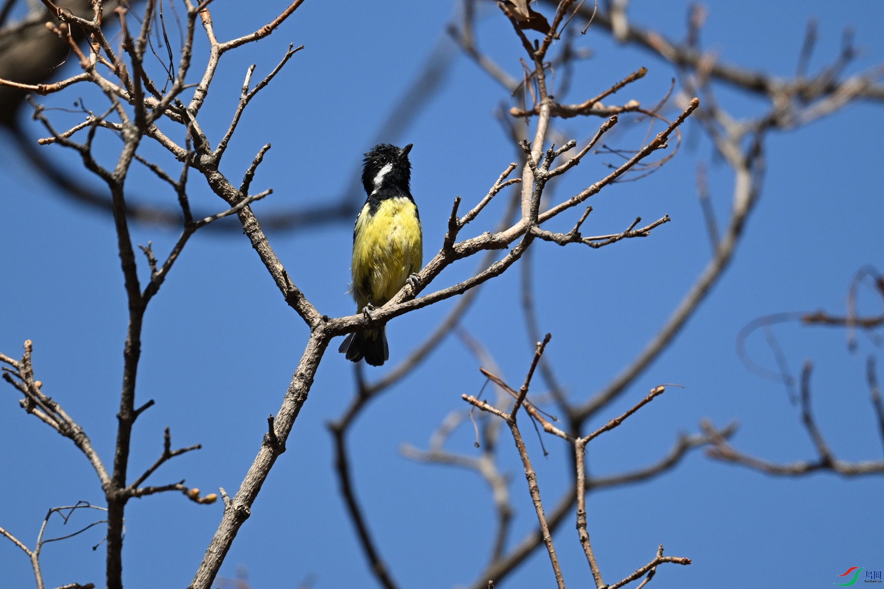 DSC_2939.JPG