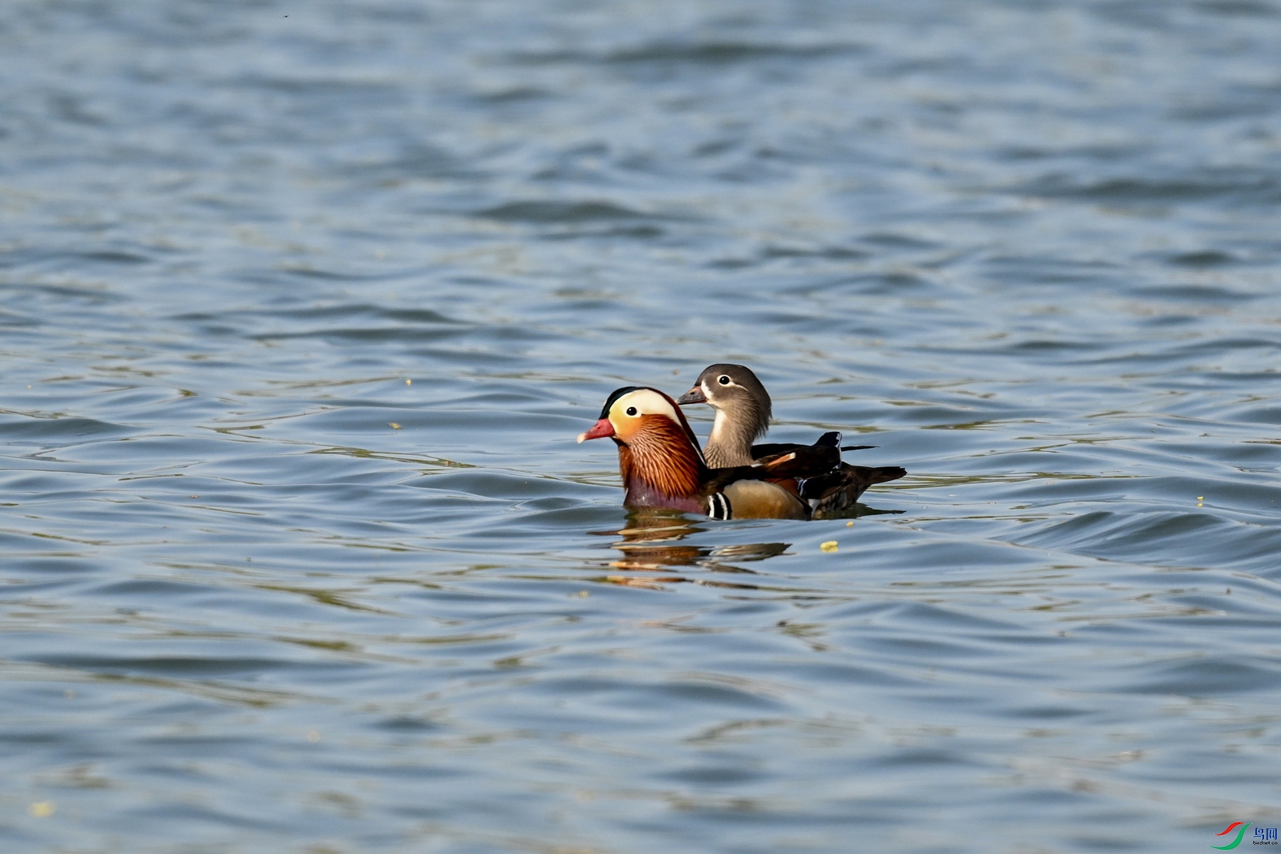 DSC_3188.JPG