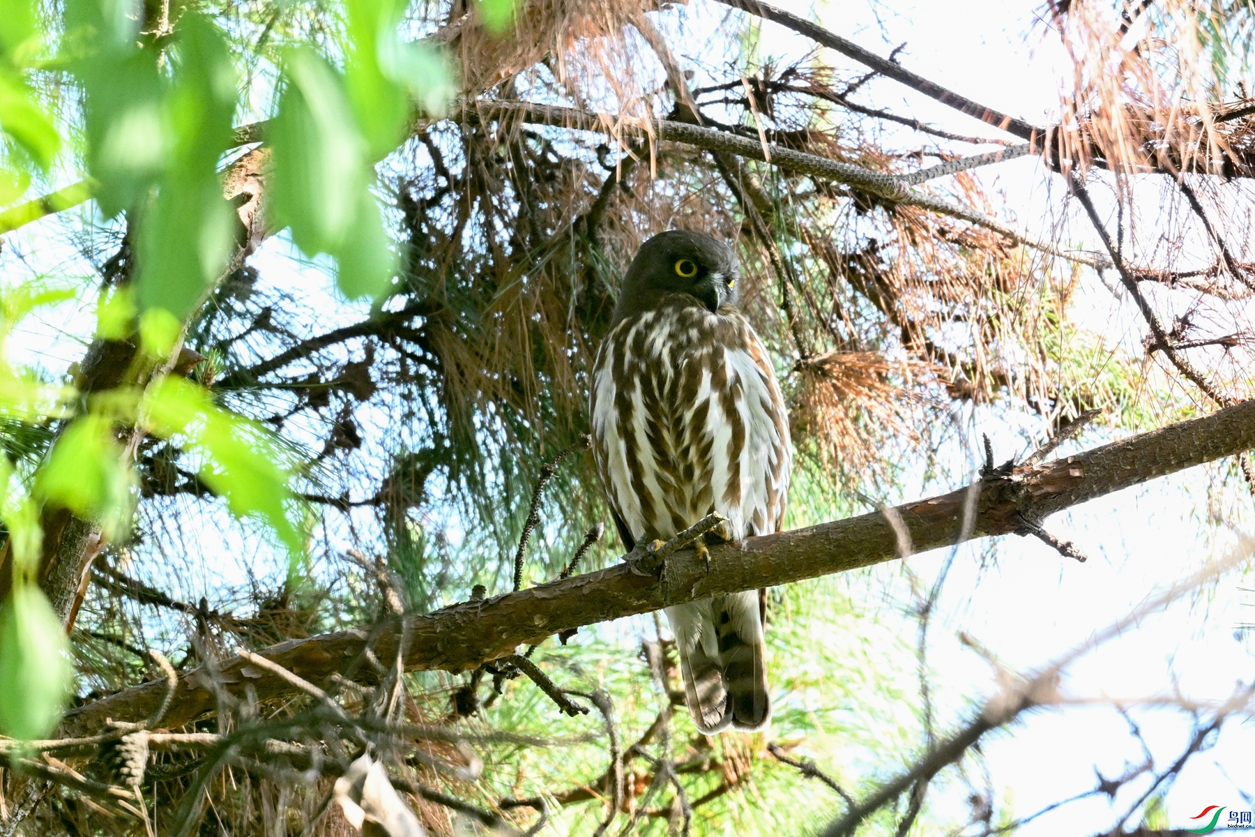 DSC_3679.JPG