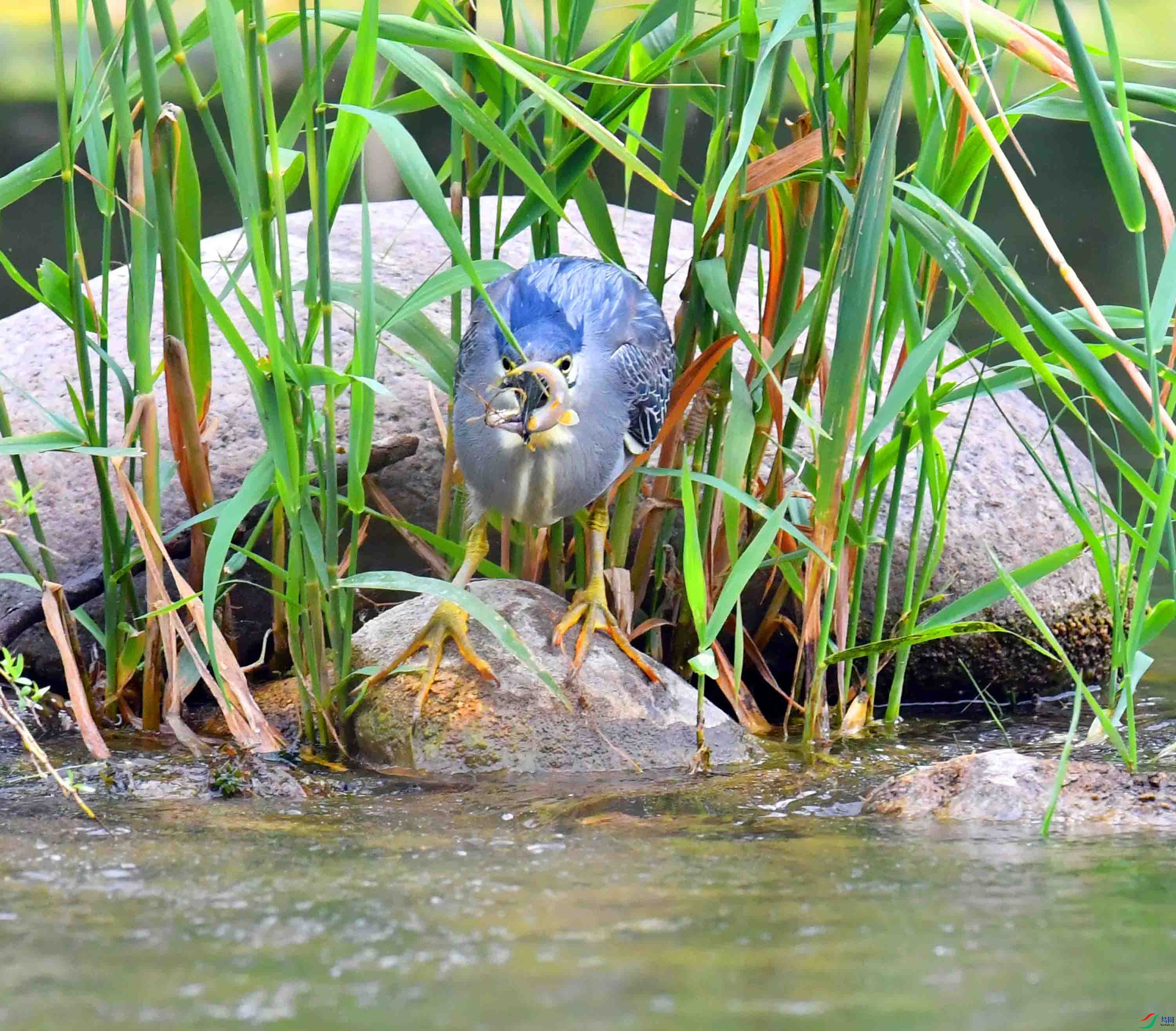 DSC_0931.JPG