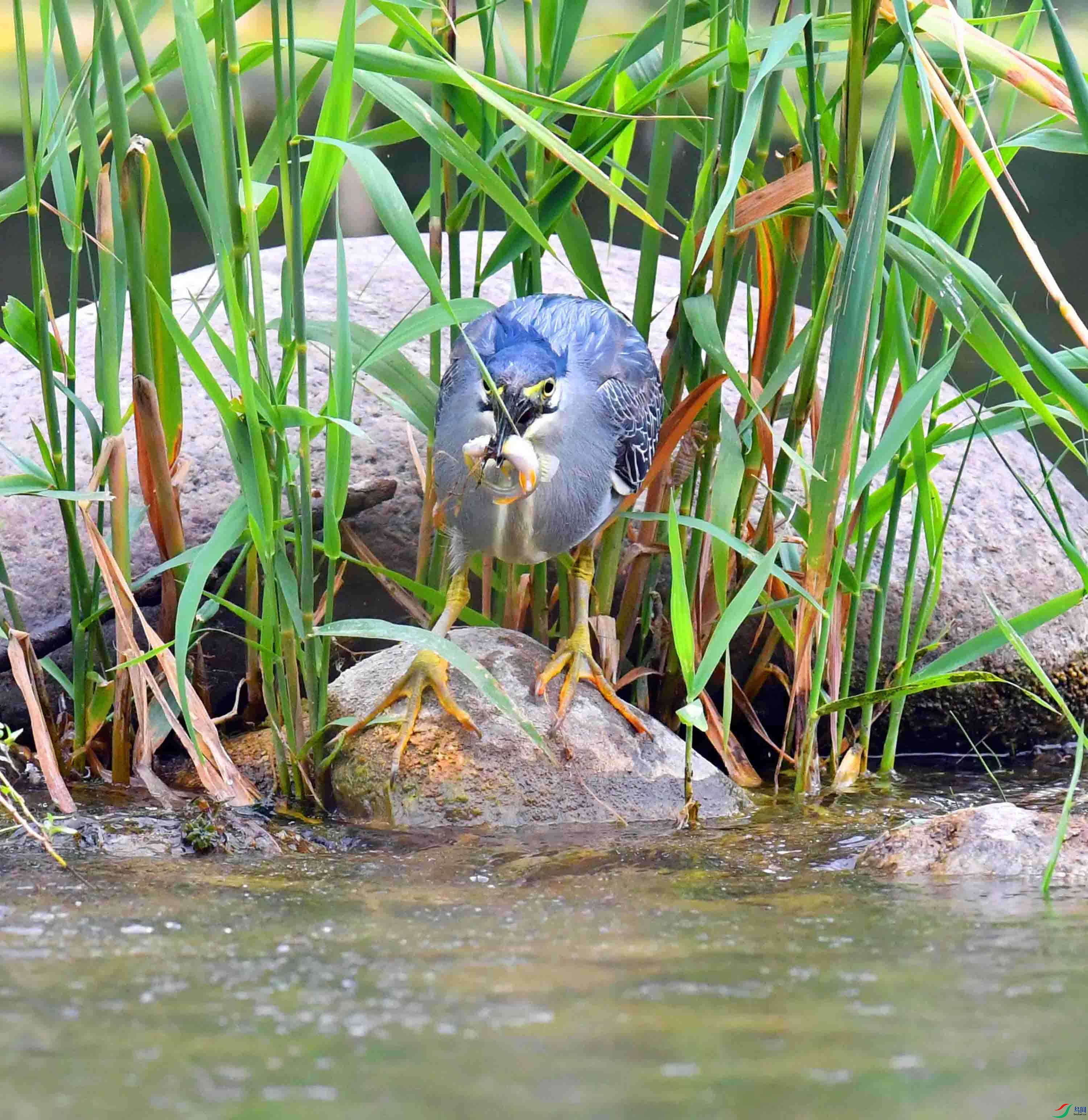 DSC_0932.JPG