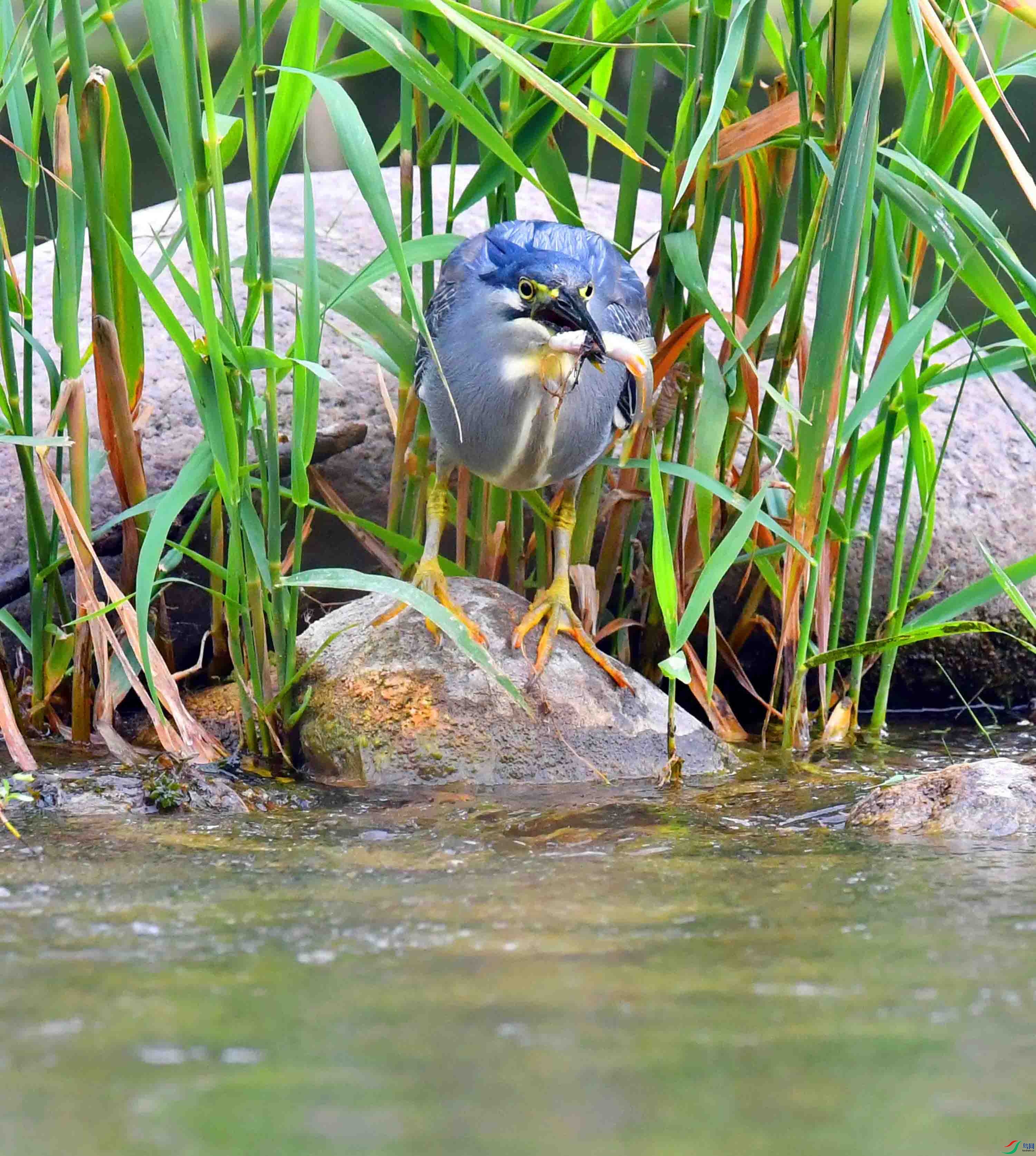 DSC_0934.JPG