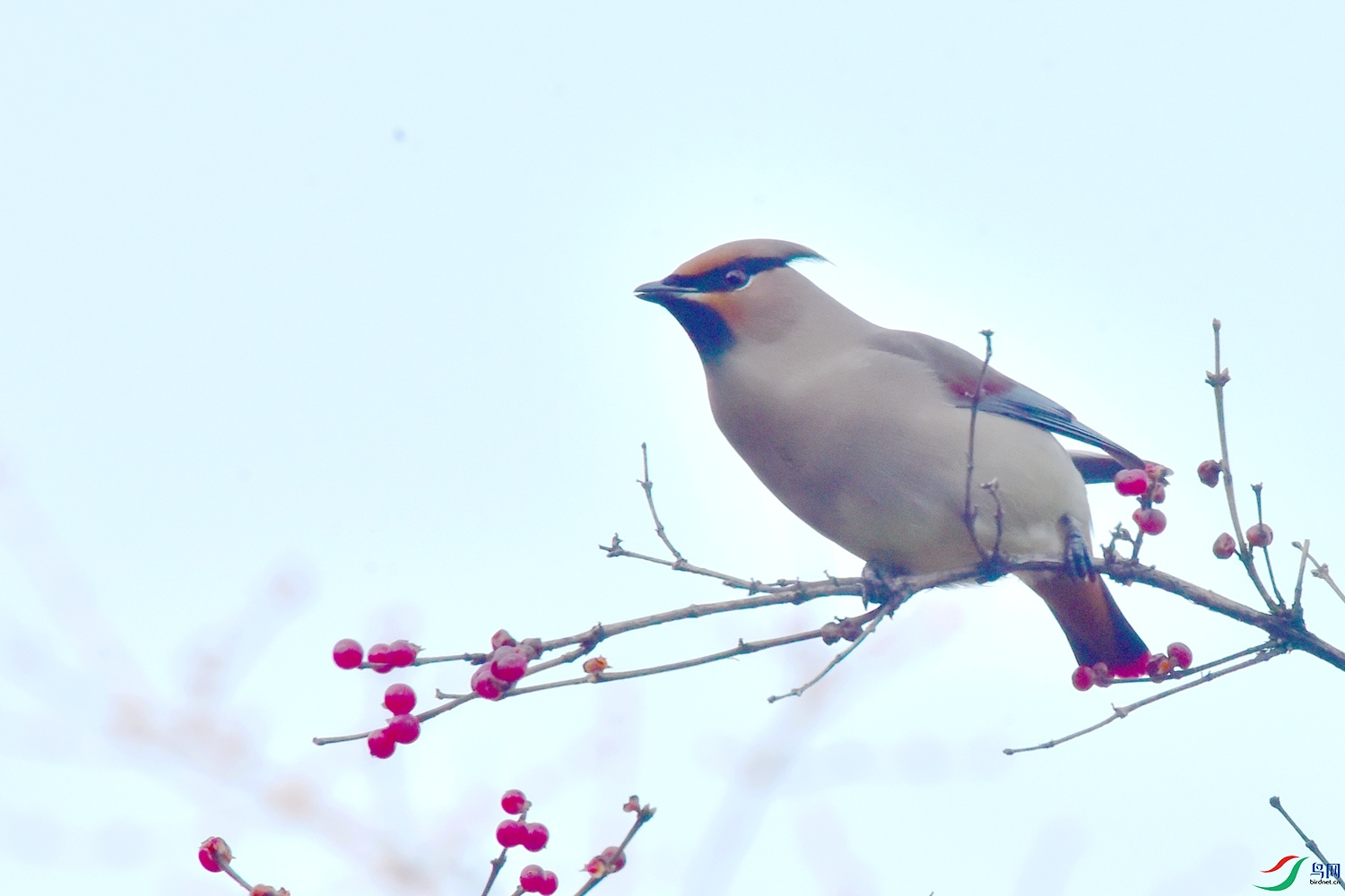 DSC_5853.JPG