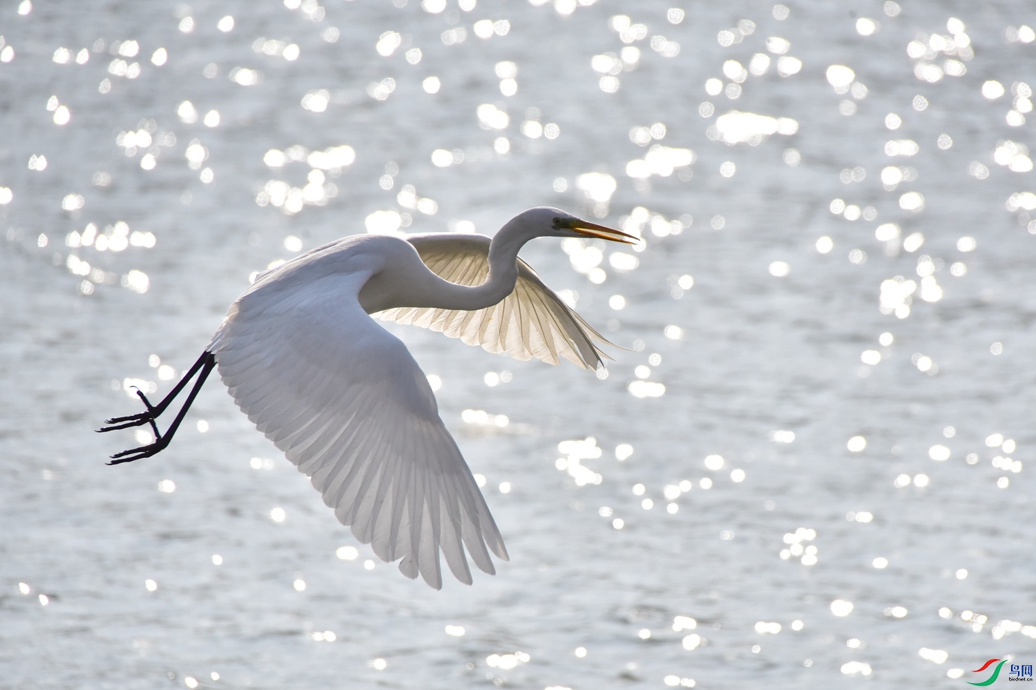 DSC_6087.JPG