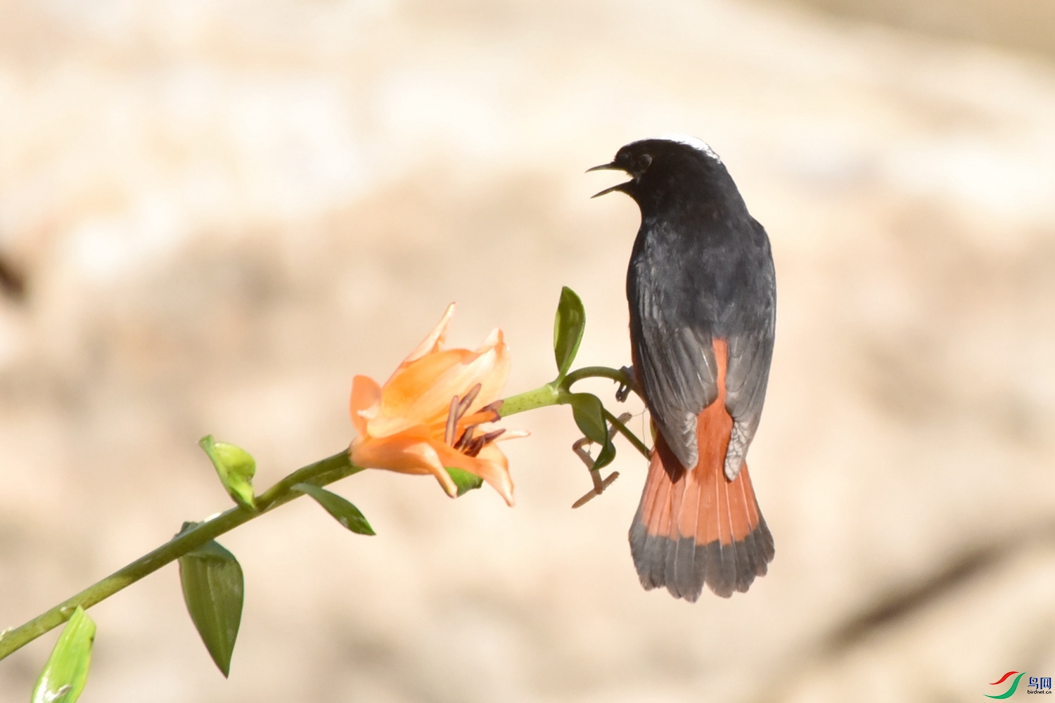 DSC_9647.JPG