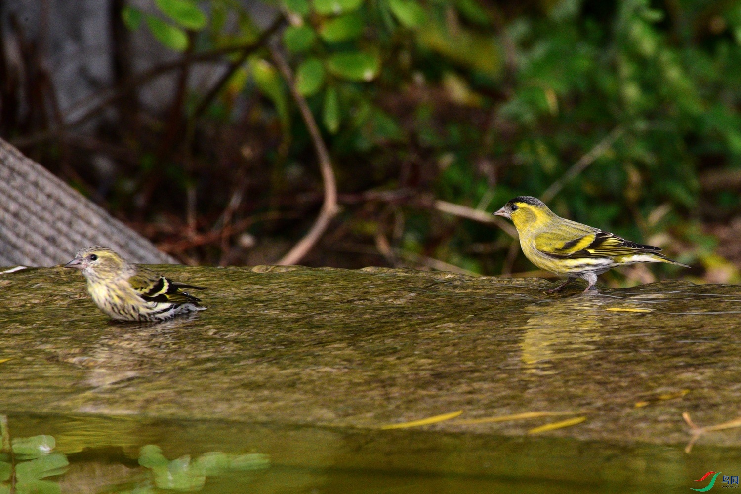 DSC_6220.JPG