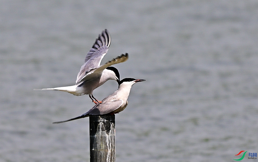 DSC_5811.JPG