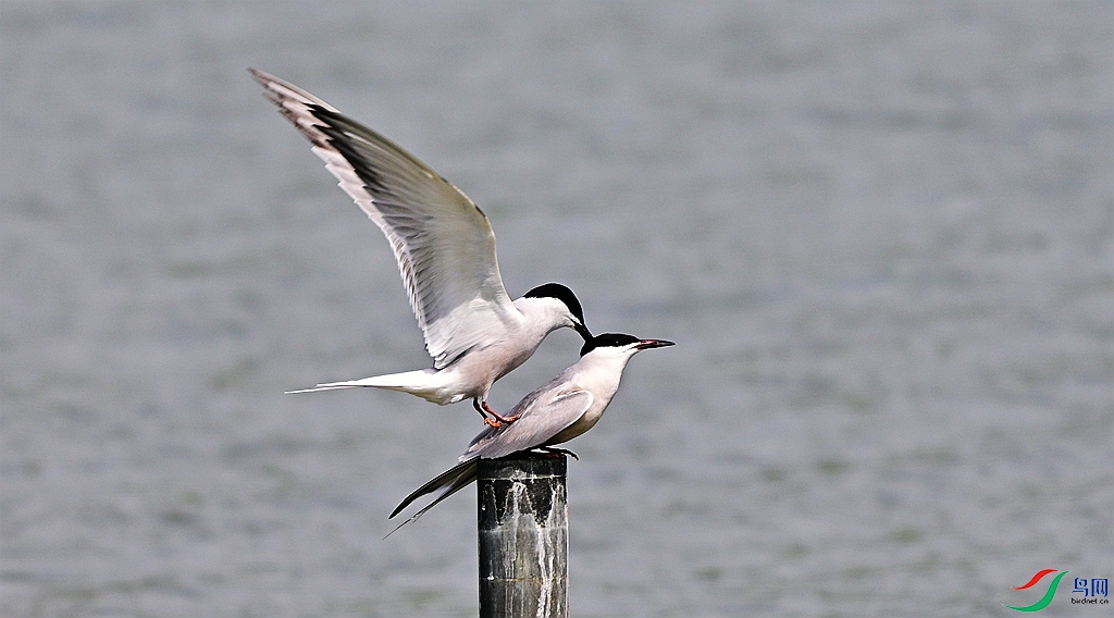 DSC_5812.JPG