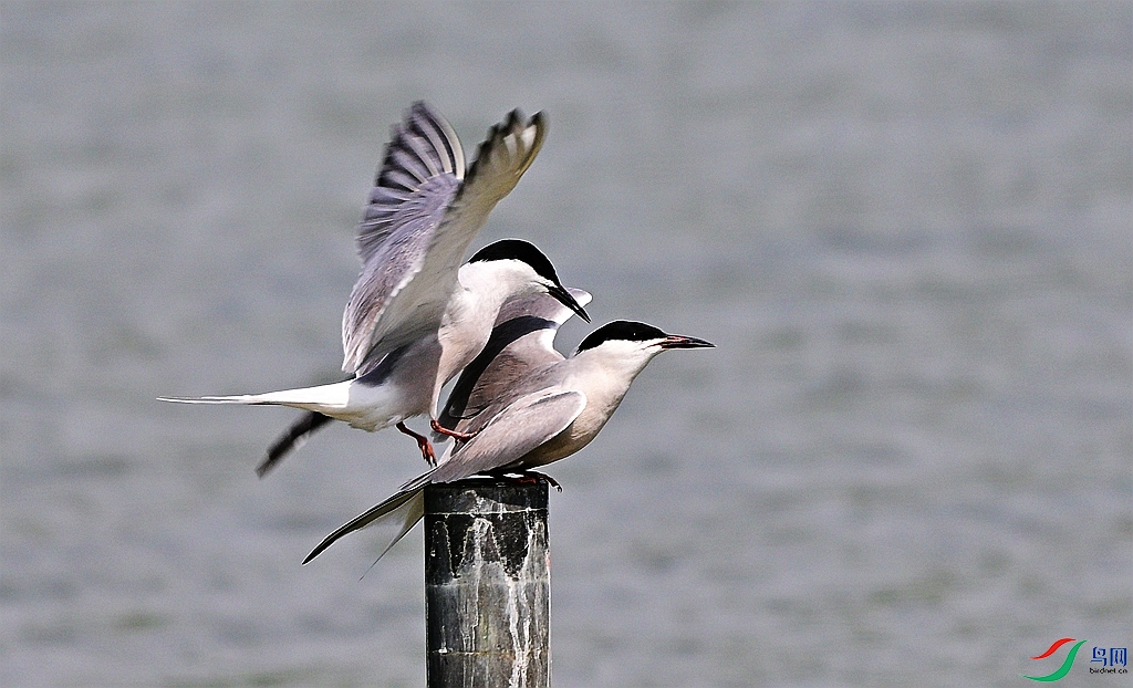 DSC_5813.JPG
