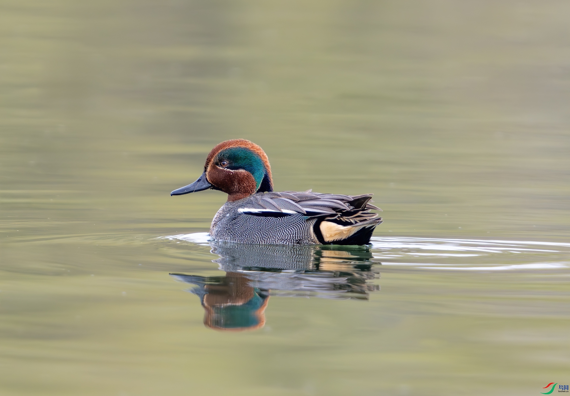 DSC_0858.jpg