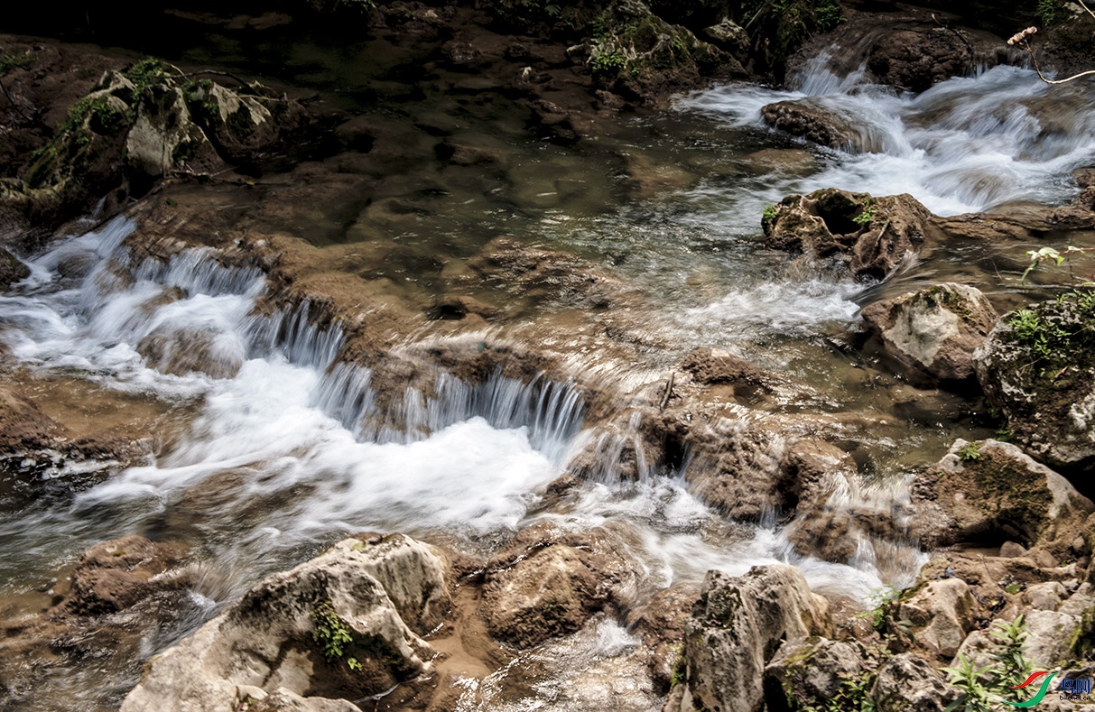 DSC_9917.jpg