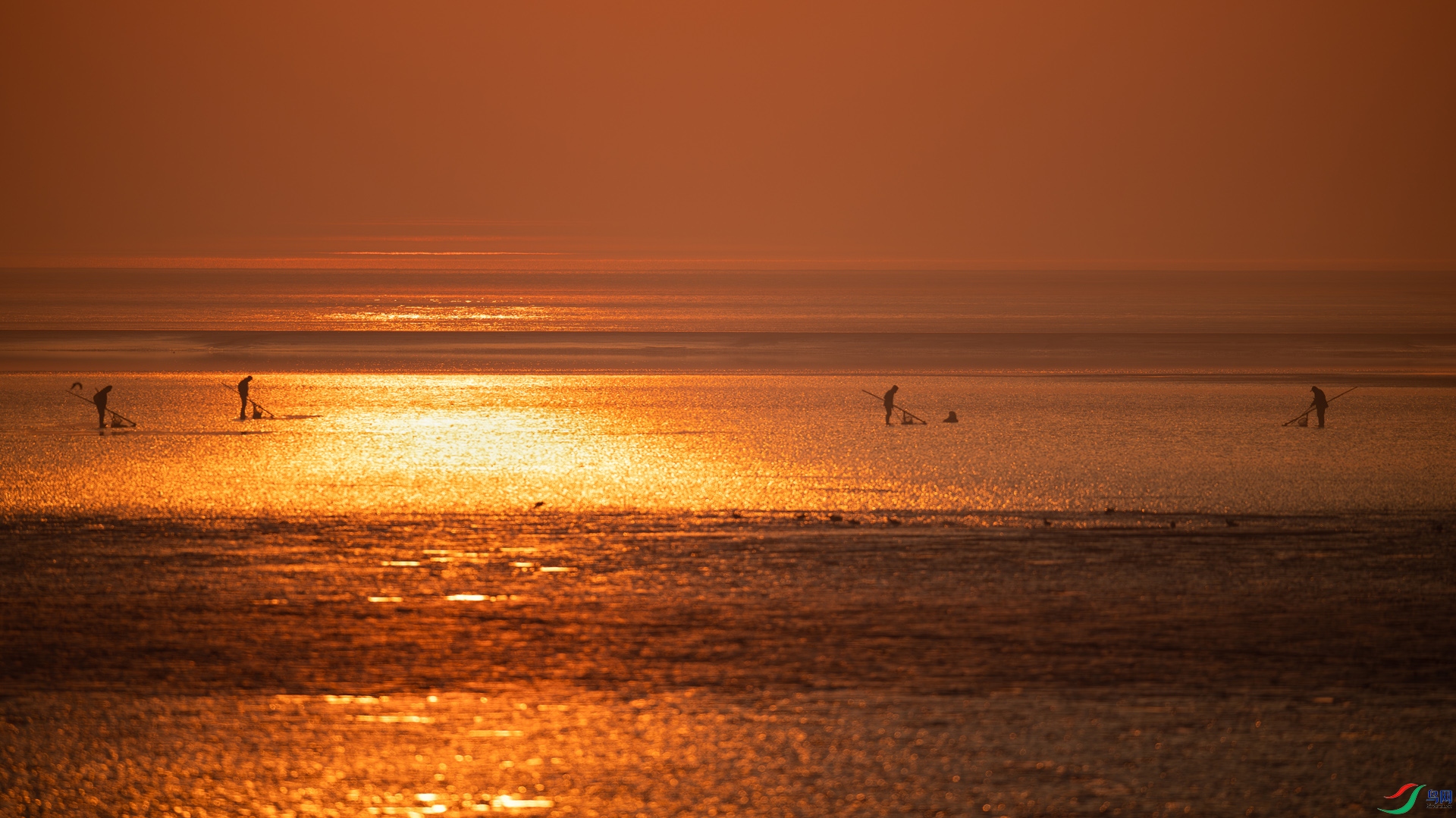 DSC_3434-����ǿ-NR.jpg