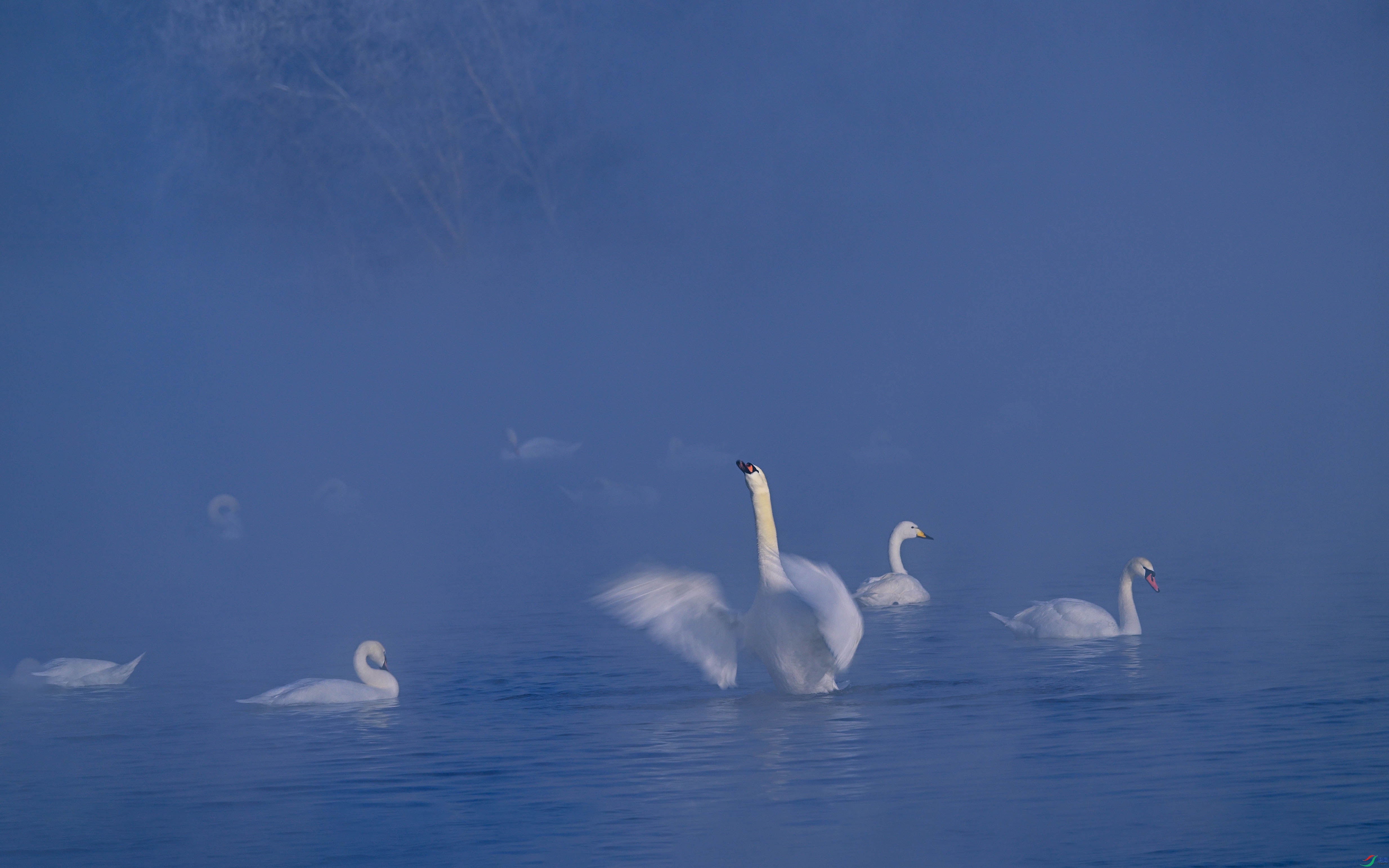 _DSC4097.JPG