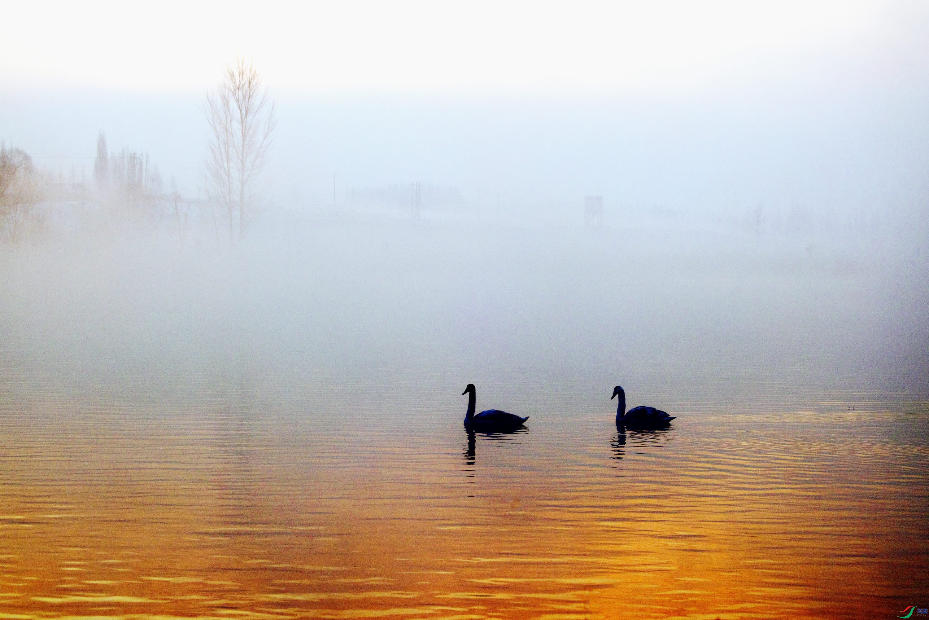 _I6A4814.jpg