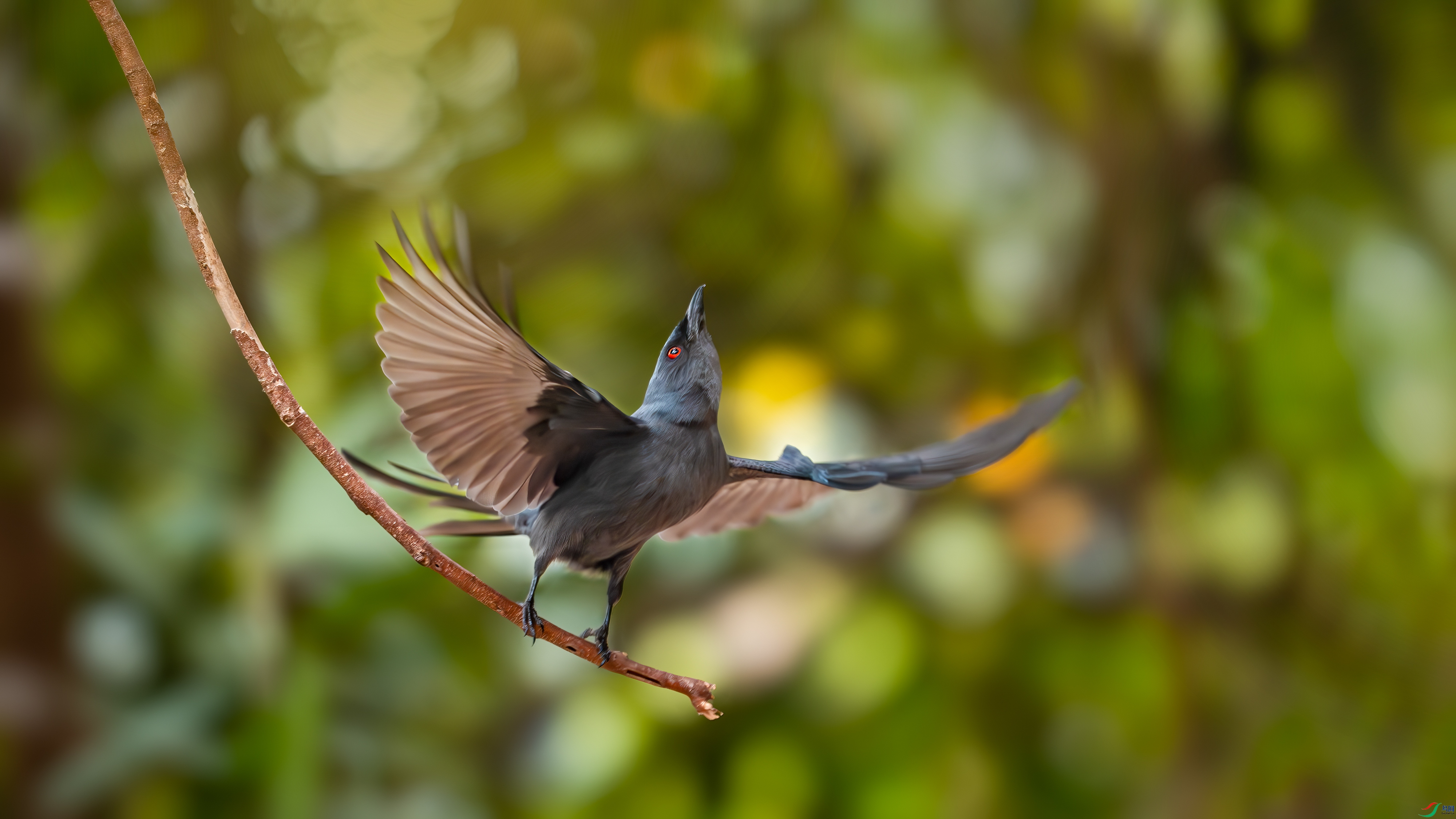 _DSC5853 (2) ���� 2.jpg