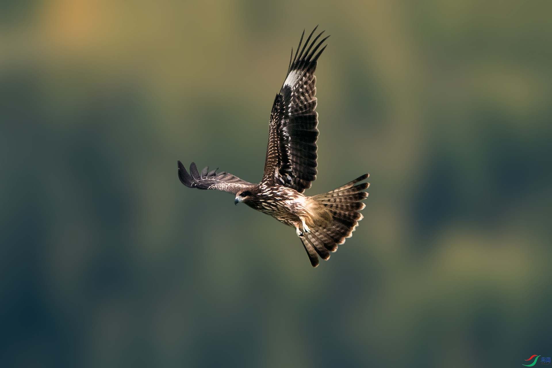��_AUU4928�����(23.9.27)-1.jpg