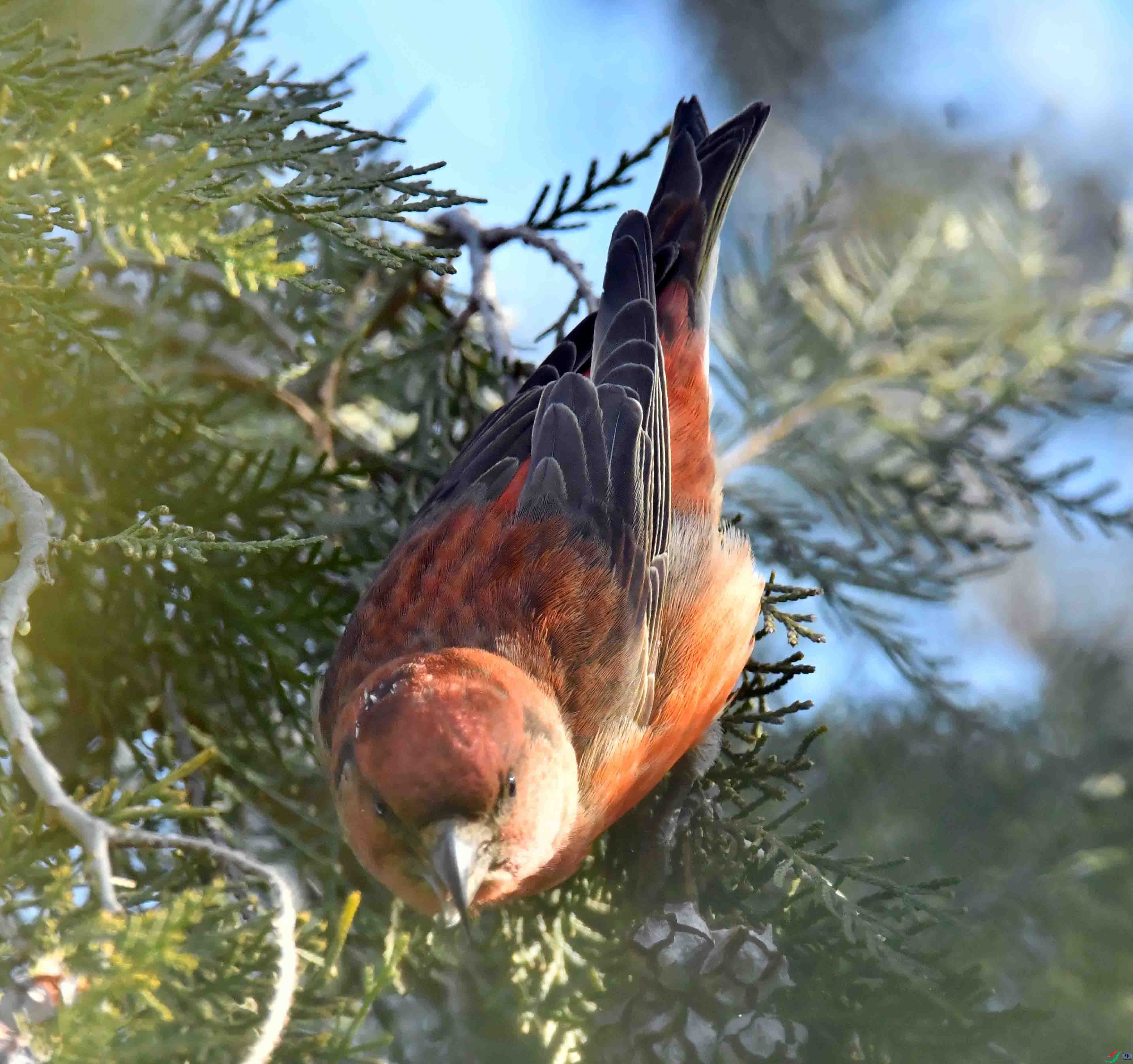 DSC_6820.JPG