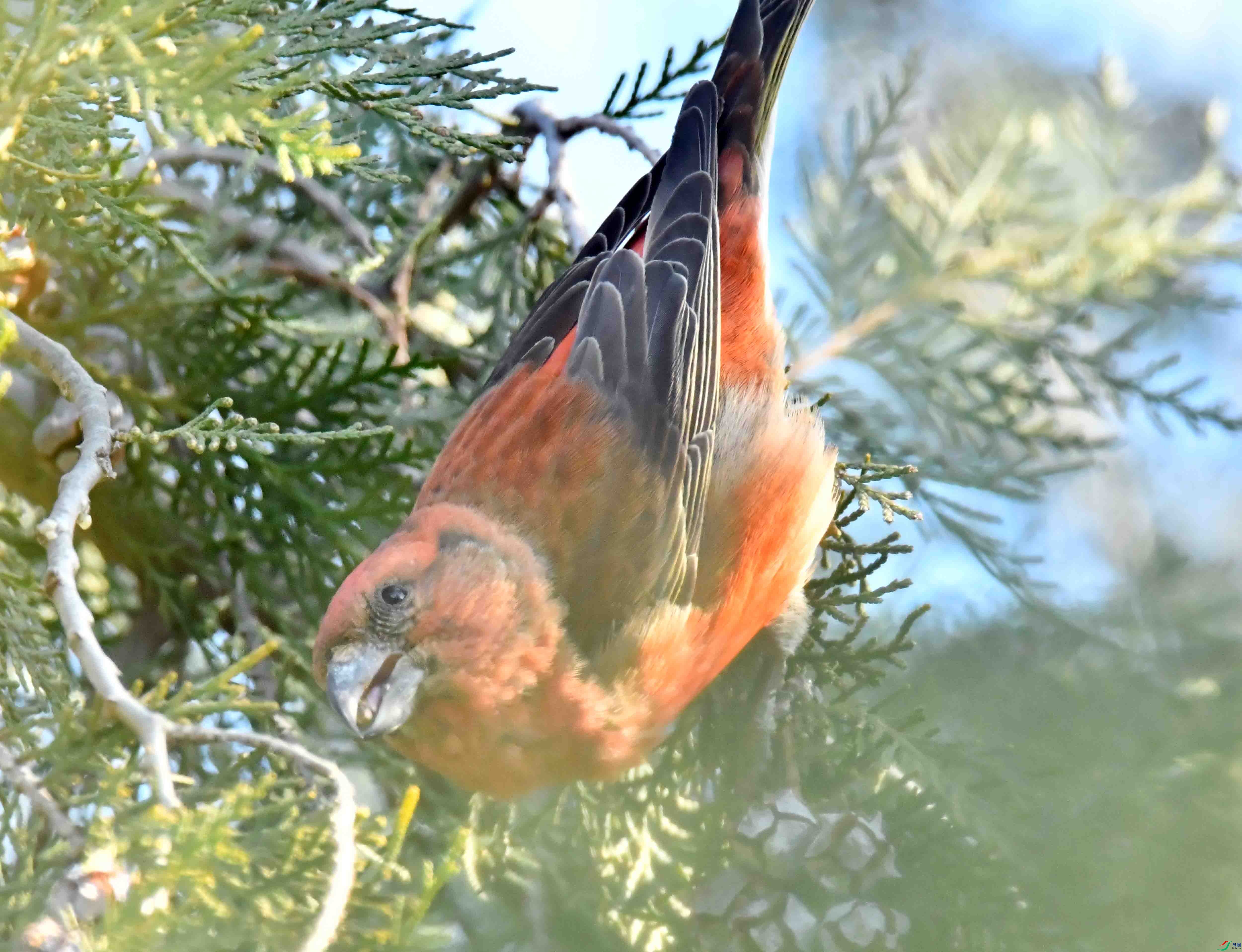 DSC_6835.JPG