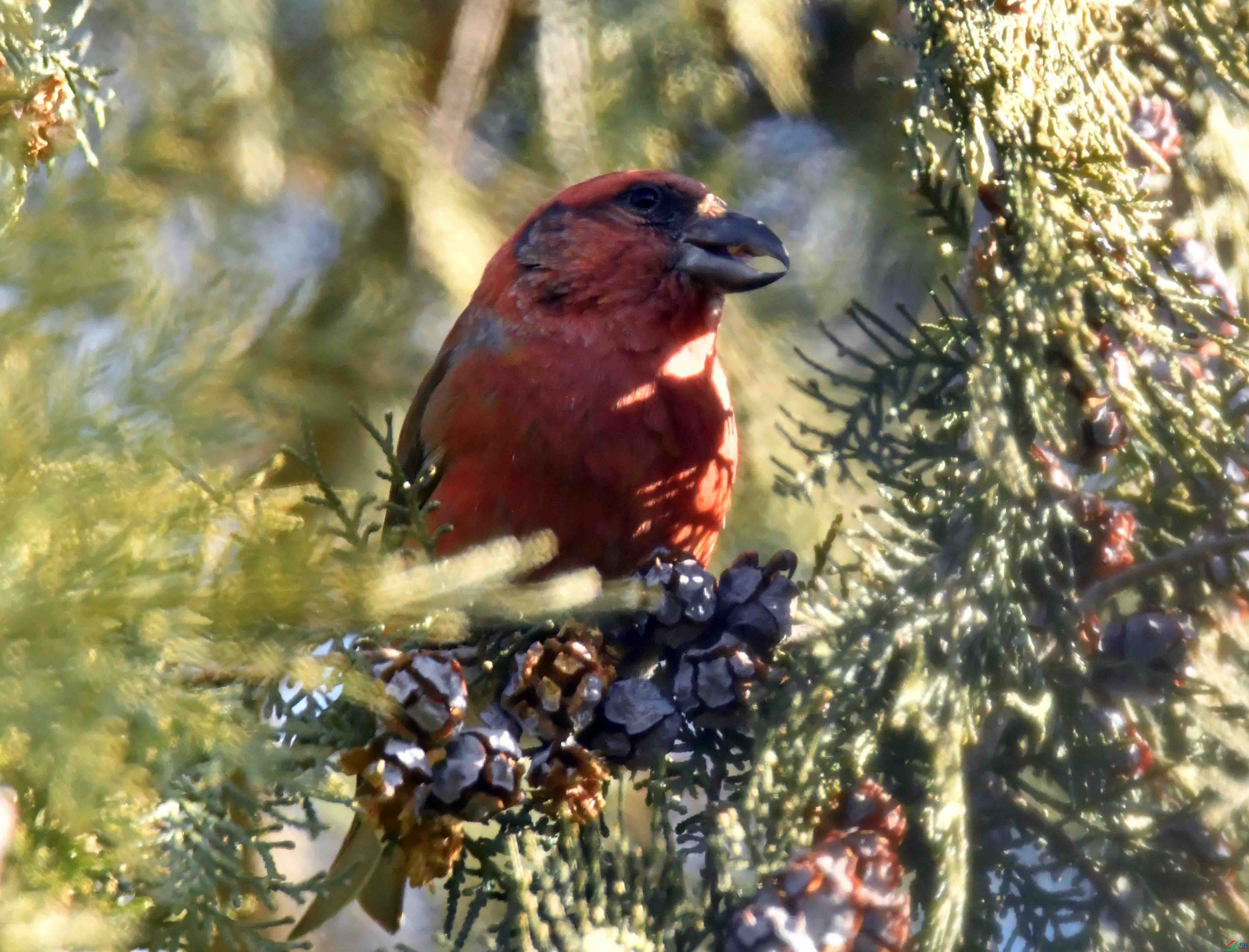 DSC_6855.JPG