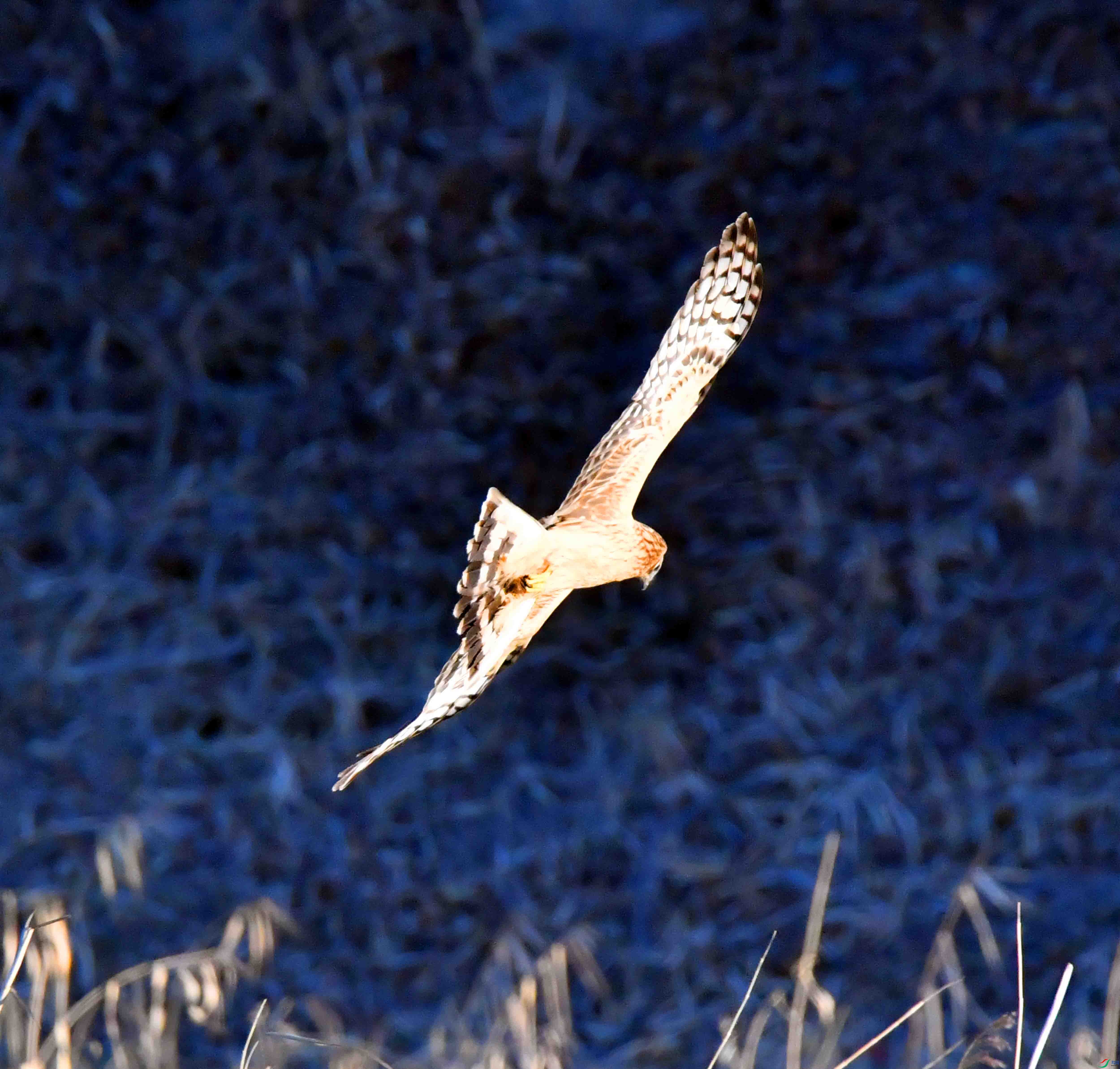 DSC_0047.JPG