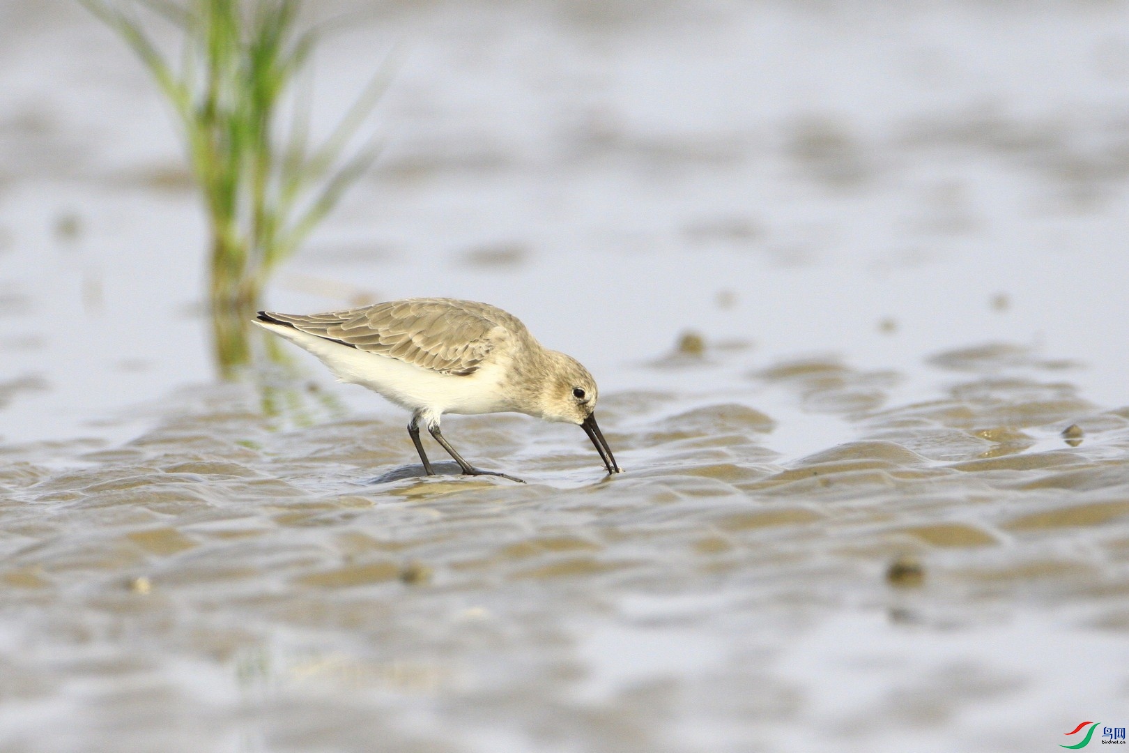 2    �����  _MG_2837.jpg