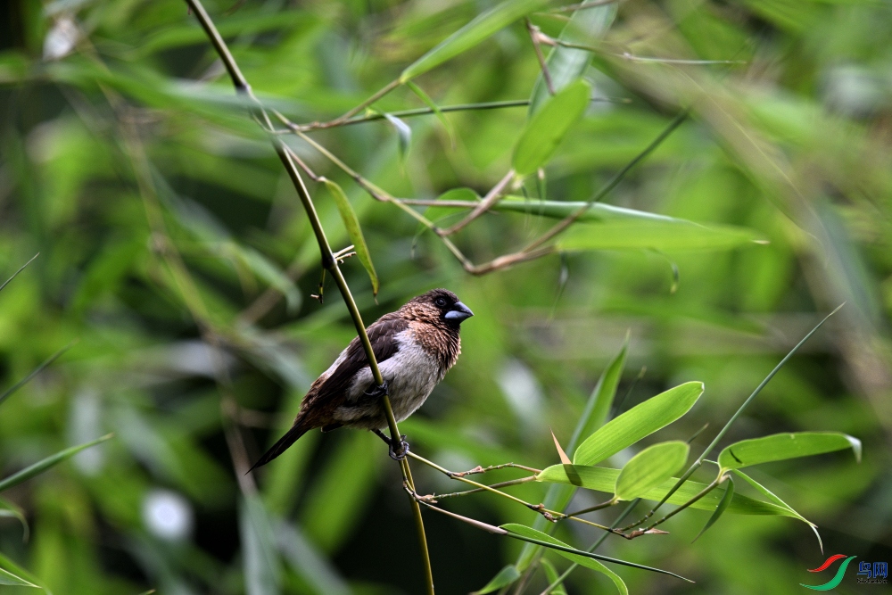 DSC_9793.JPG