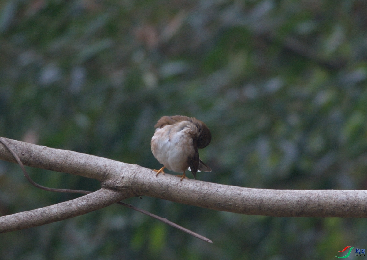 DSC_9585m_������С.jpg