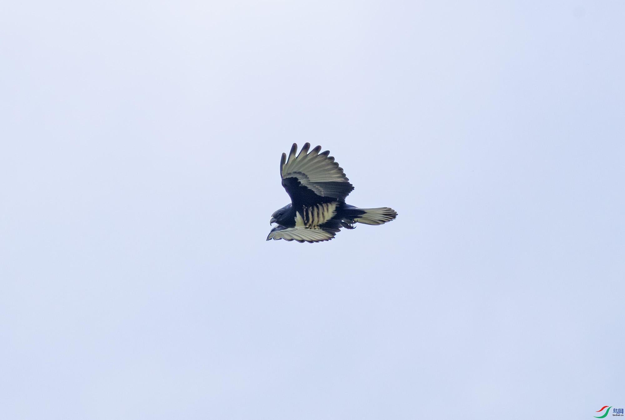 2I1A0119-����ǿ-NR ����.jpg