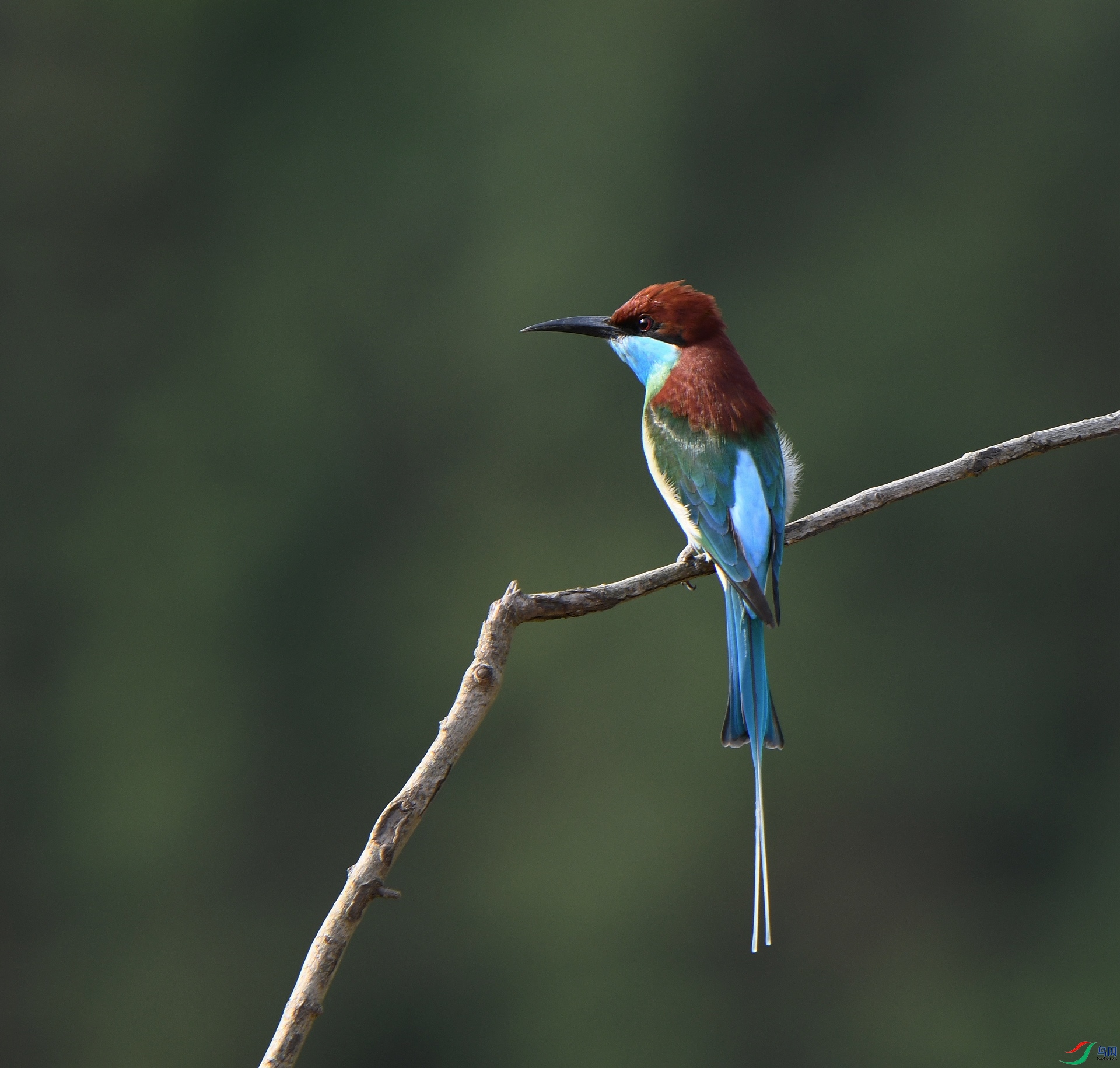 DSC_8899.jpg
