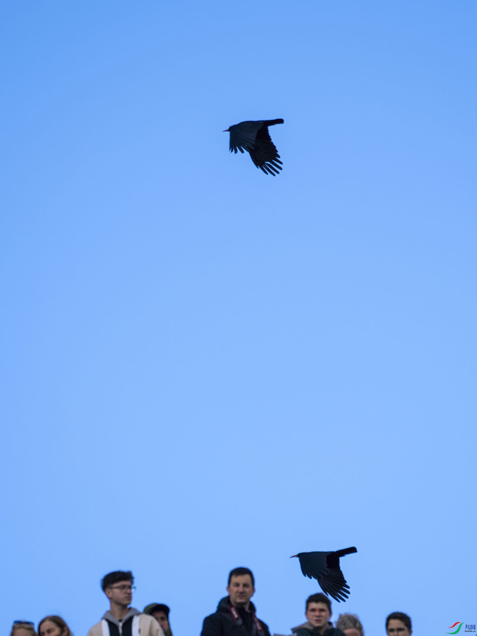 03 P4163817-DeNoiseAI-low-light.jpg