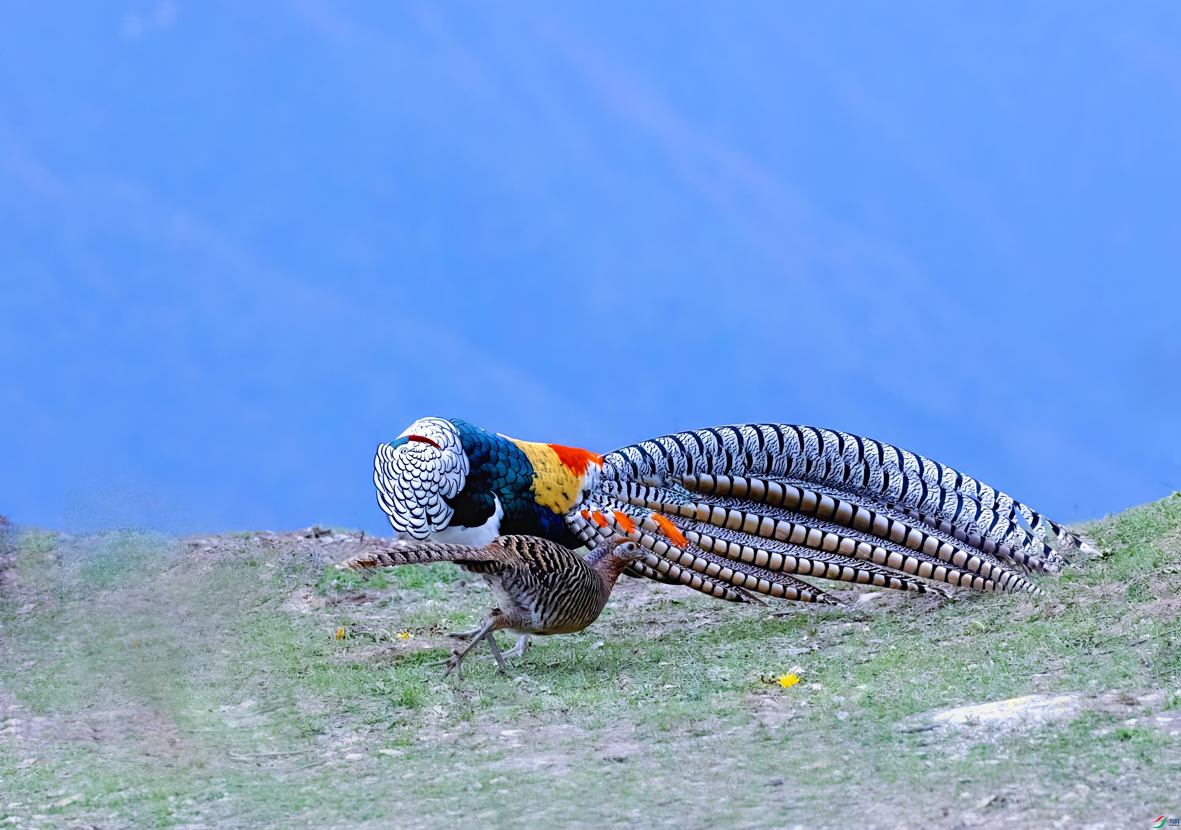 314A6082 ����.jpg