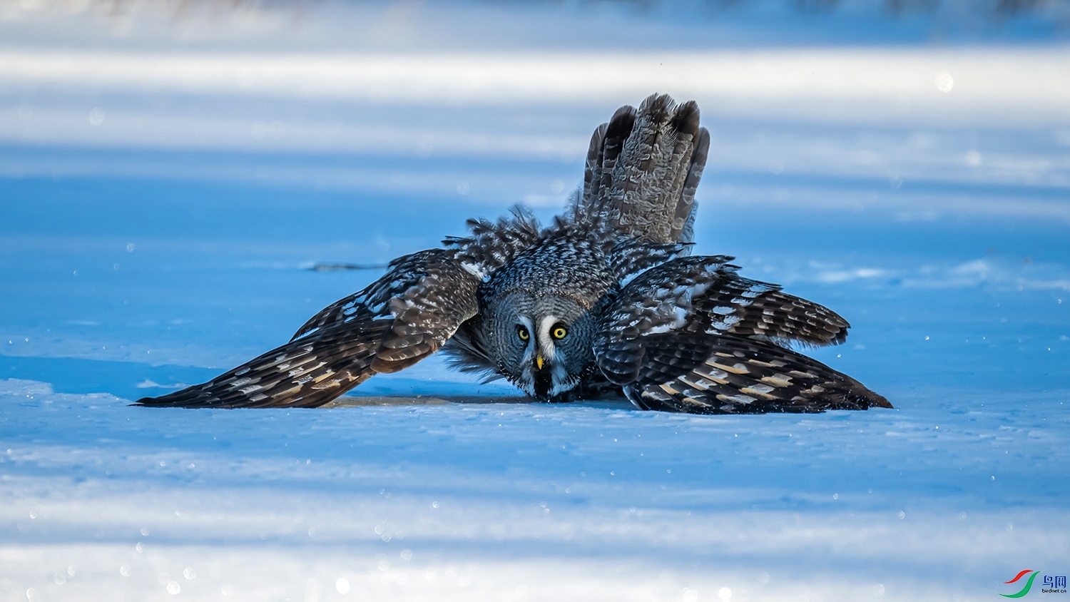 DSC_7324.jpg