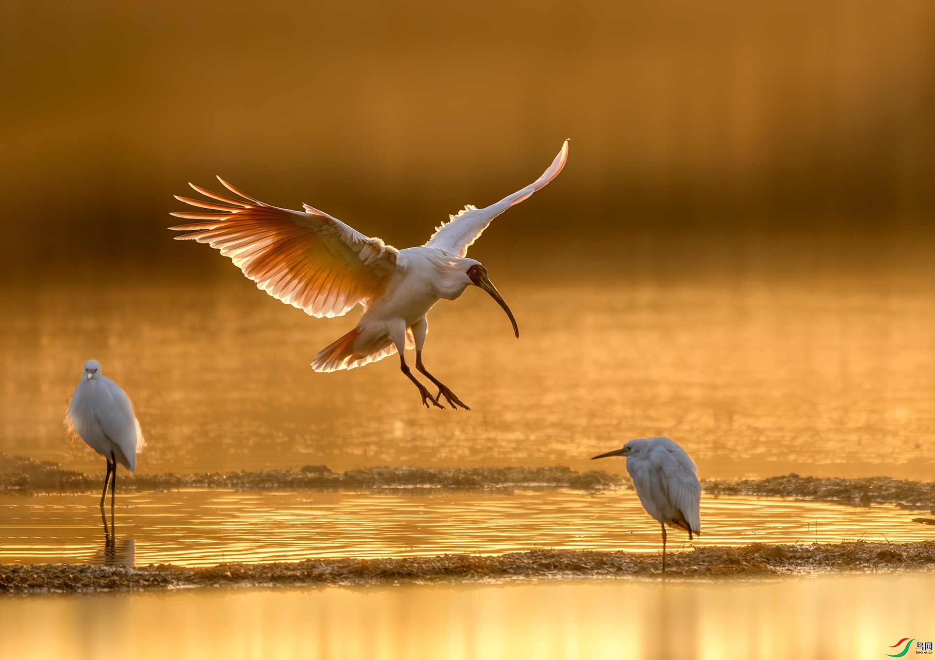 DSC04268-����ǿ-NR ����.jpg