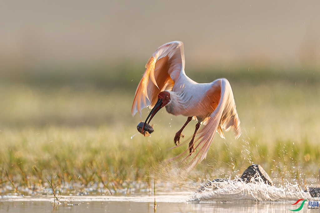 hnxyR3241121 (756).jpg