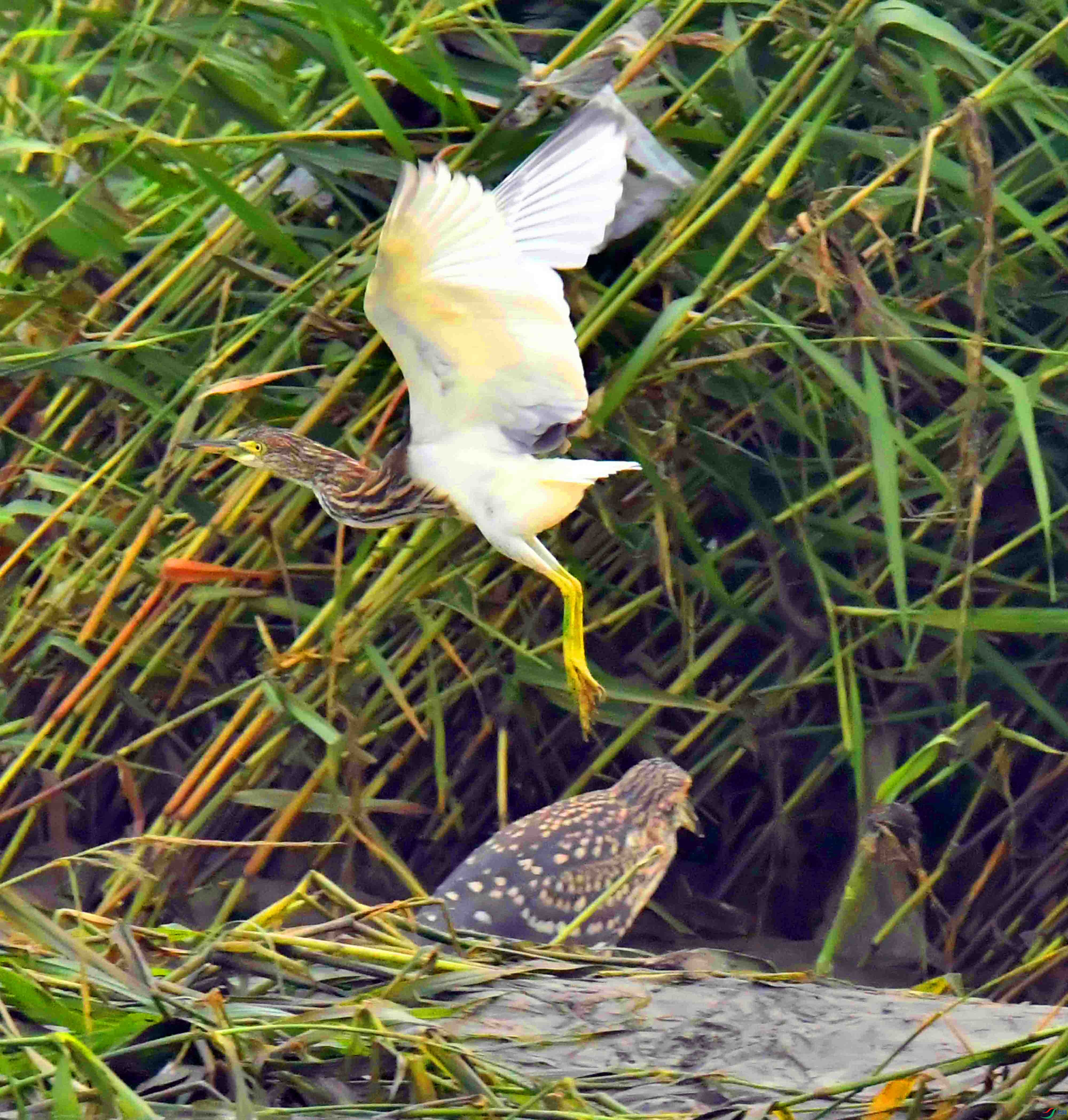 DSC_8399.JPG