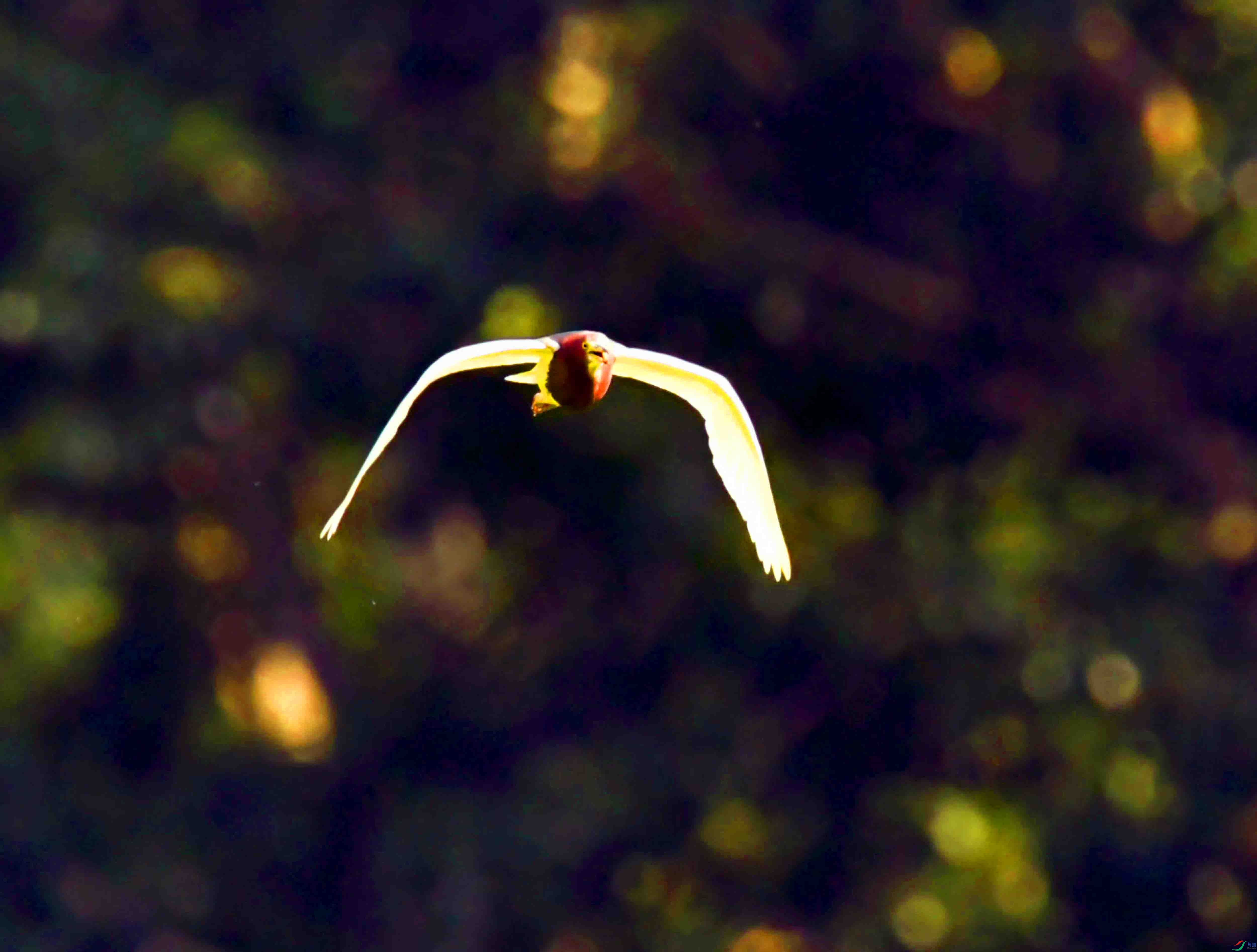 DSC_9203.JPG