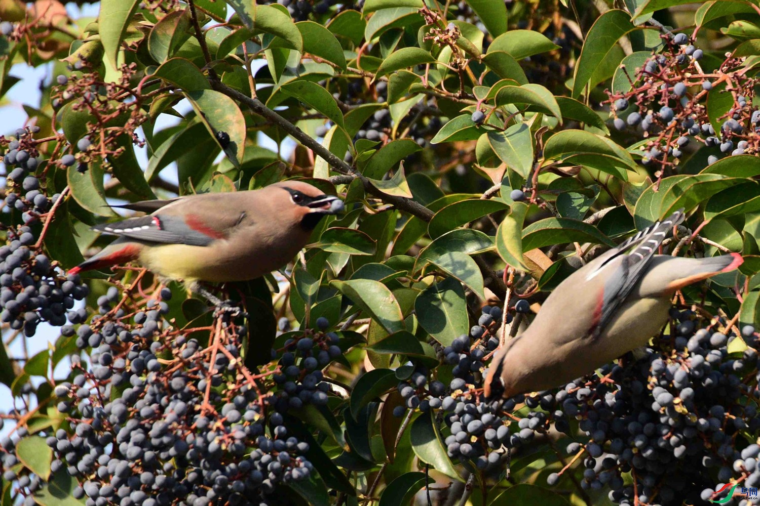 DSC_7340.JPG