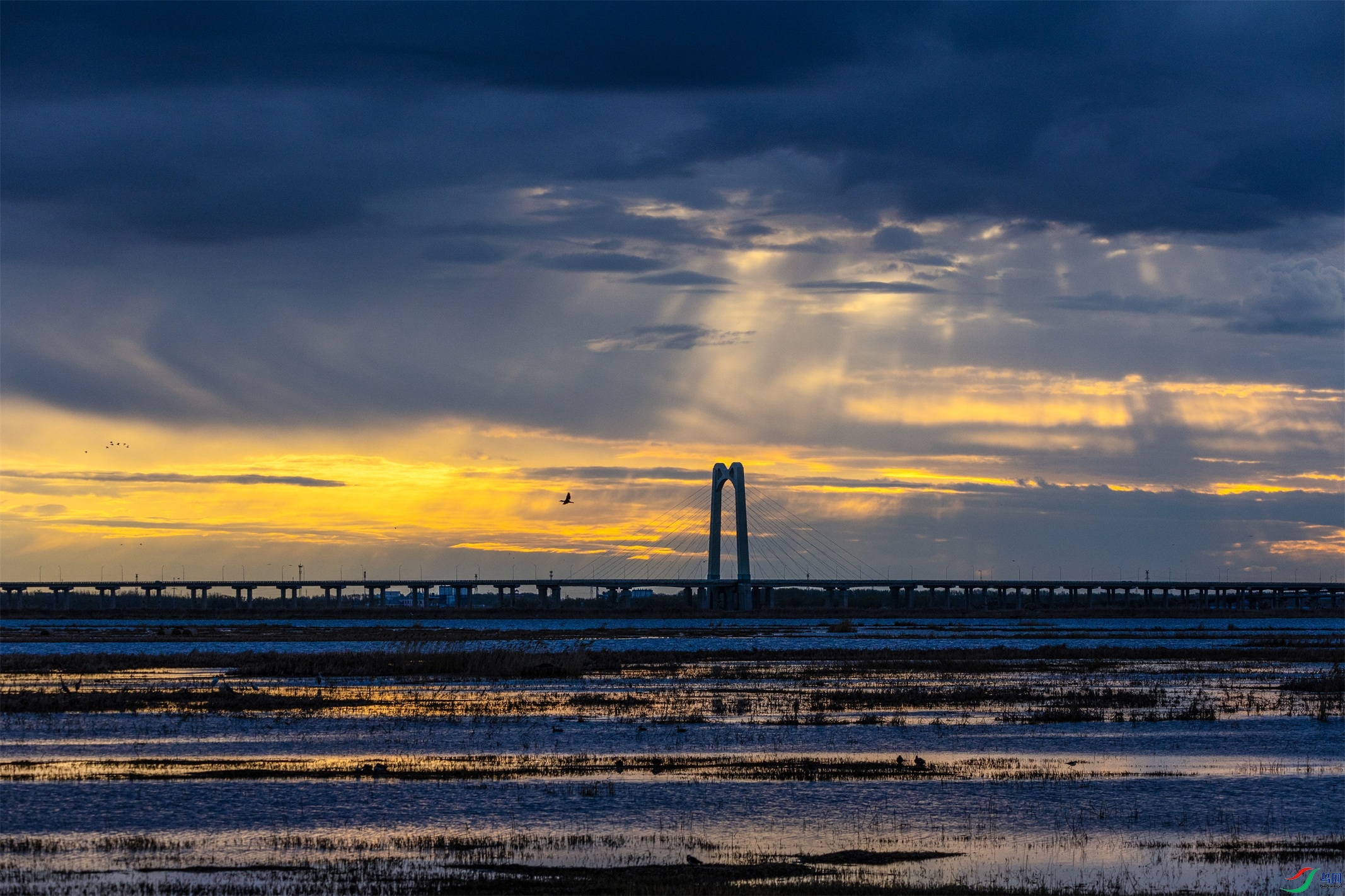 1K3A0008 ����1.jpg