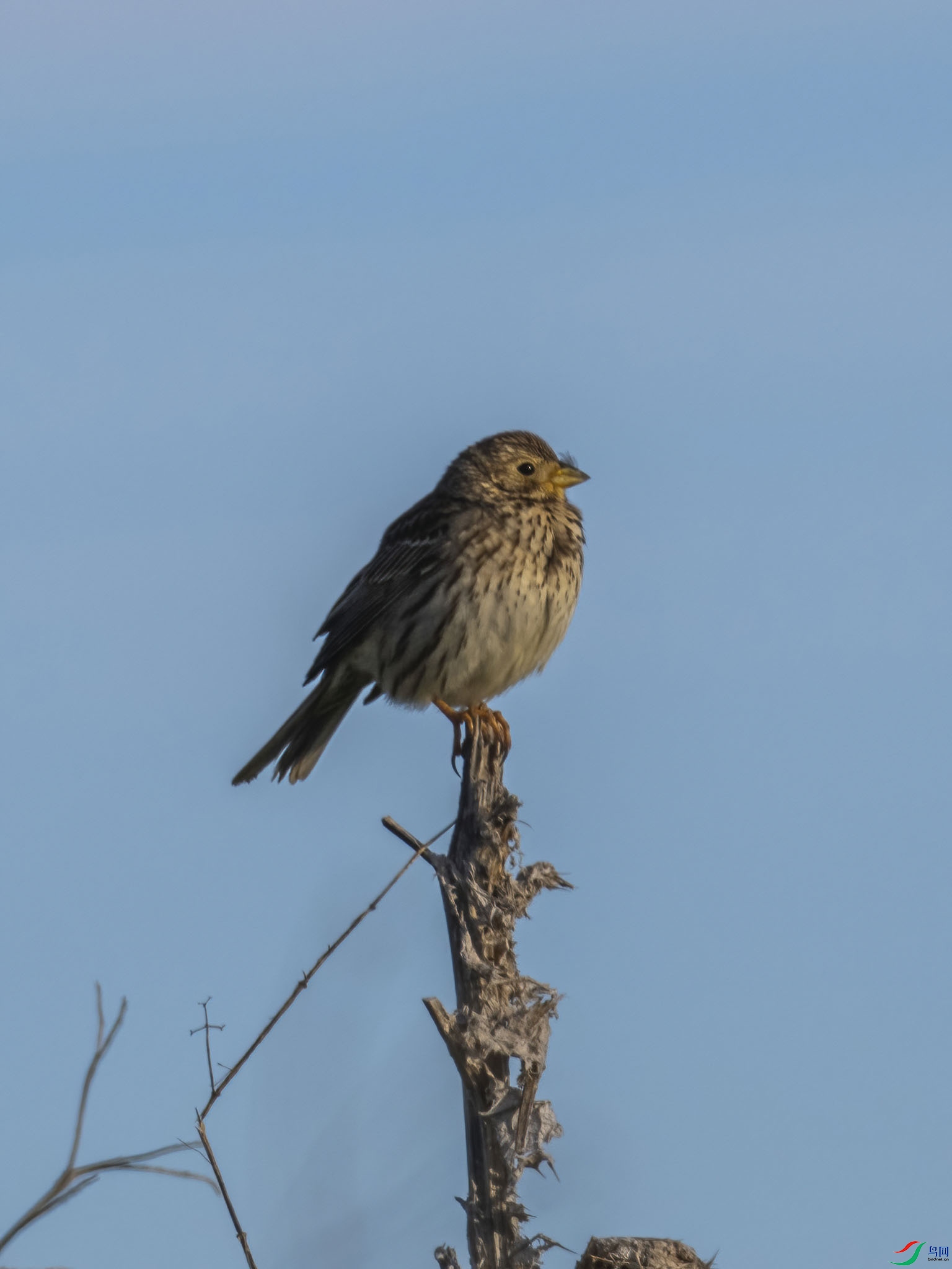 01 P4184475-DeNoiseAI-low-light.jpg