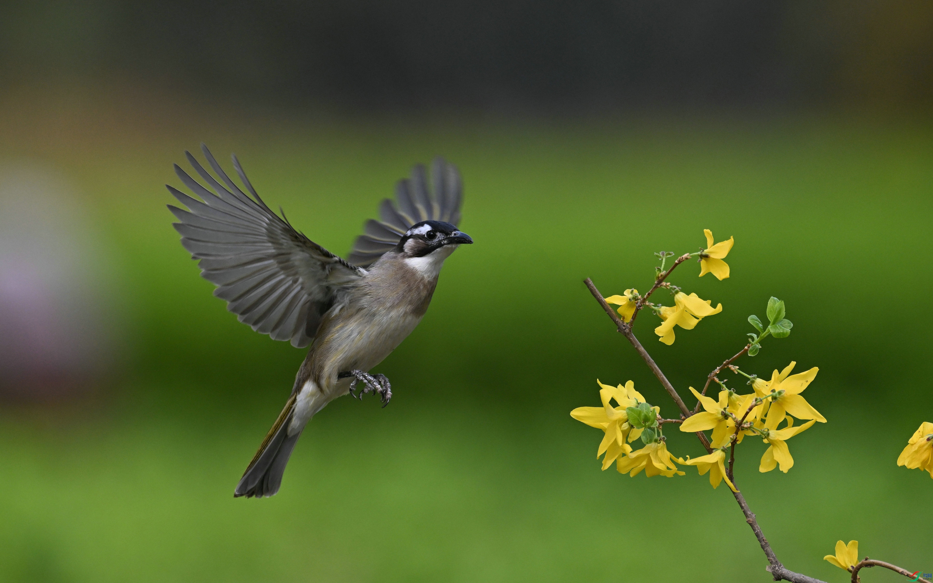 DSC_1509.JPG