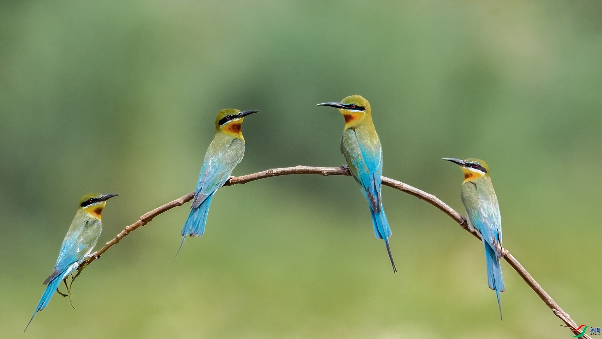 �������u����  ����.jpg