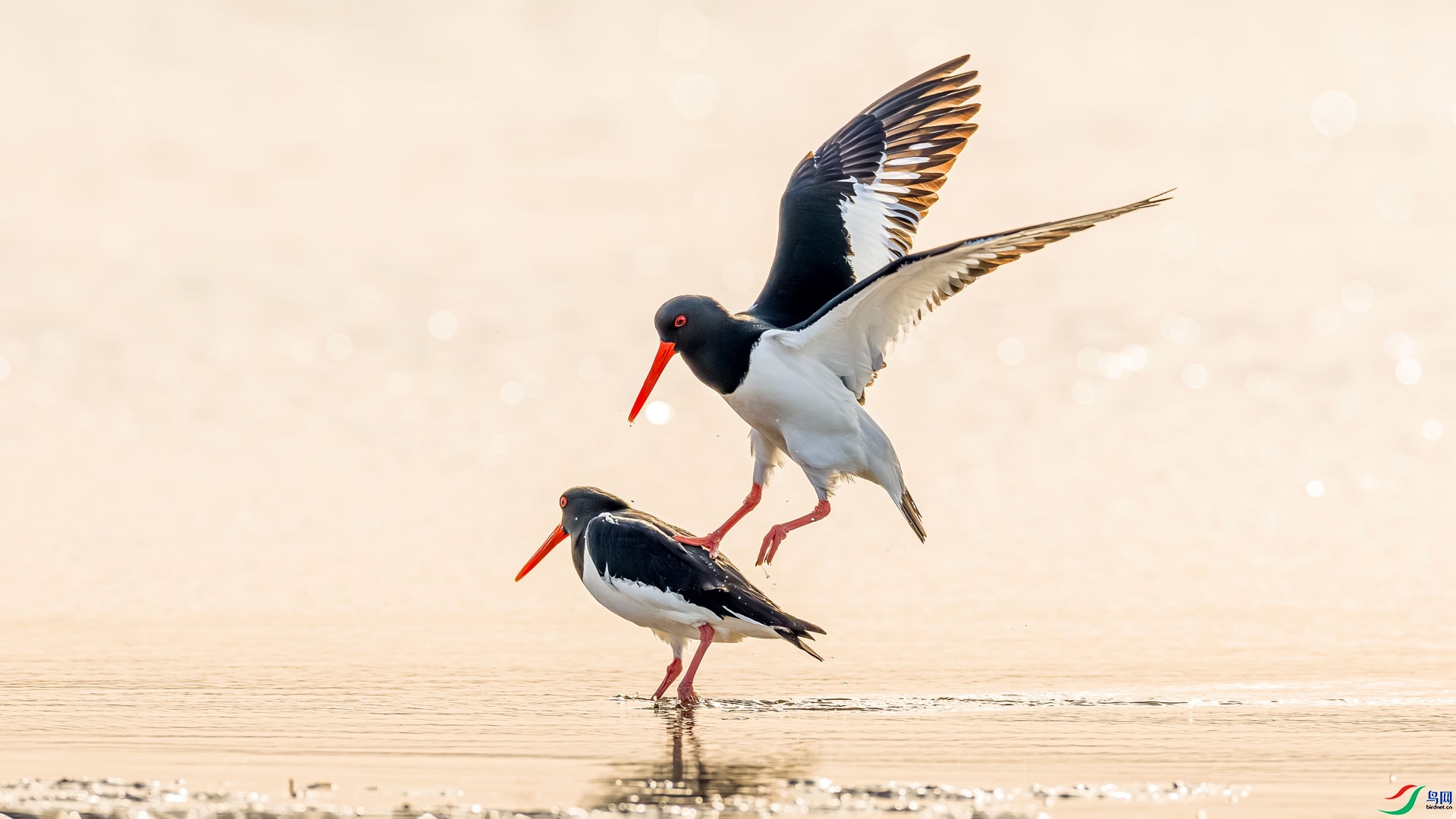 ����� ���� ɳ���Խ�  ����.jpg