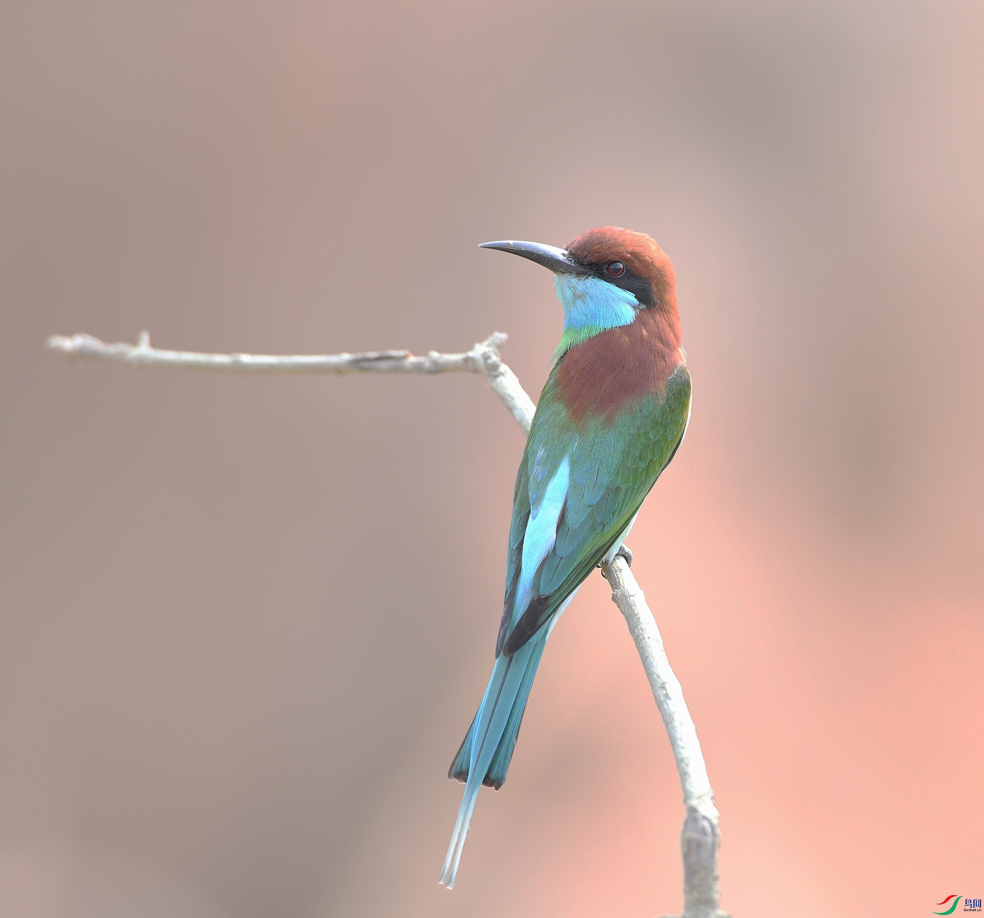 DSC_0729.jpg