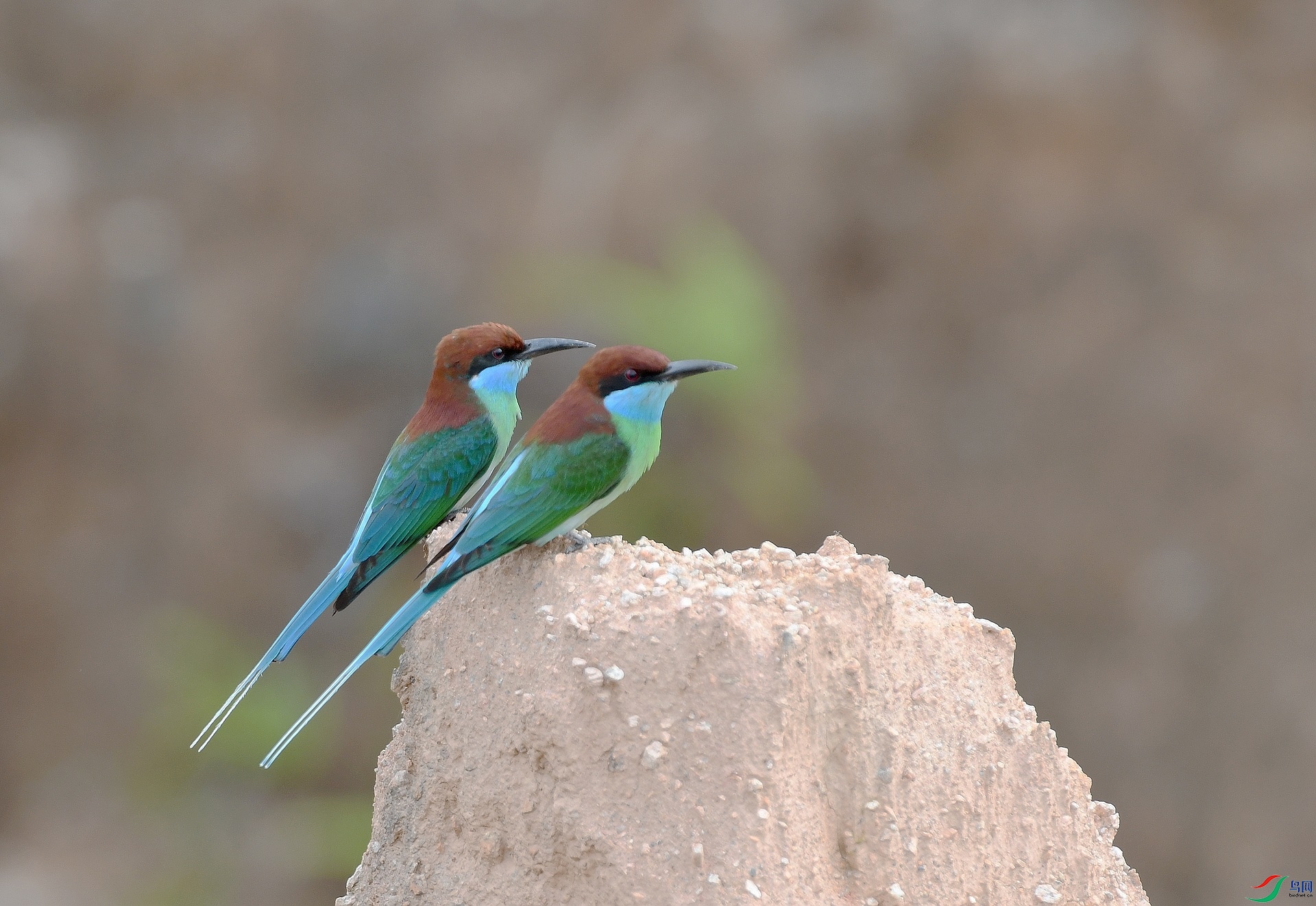 DSC_0866.jpg