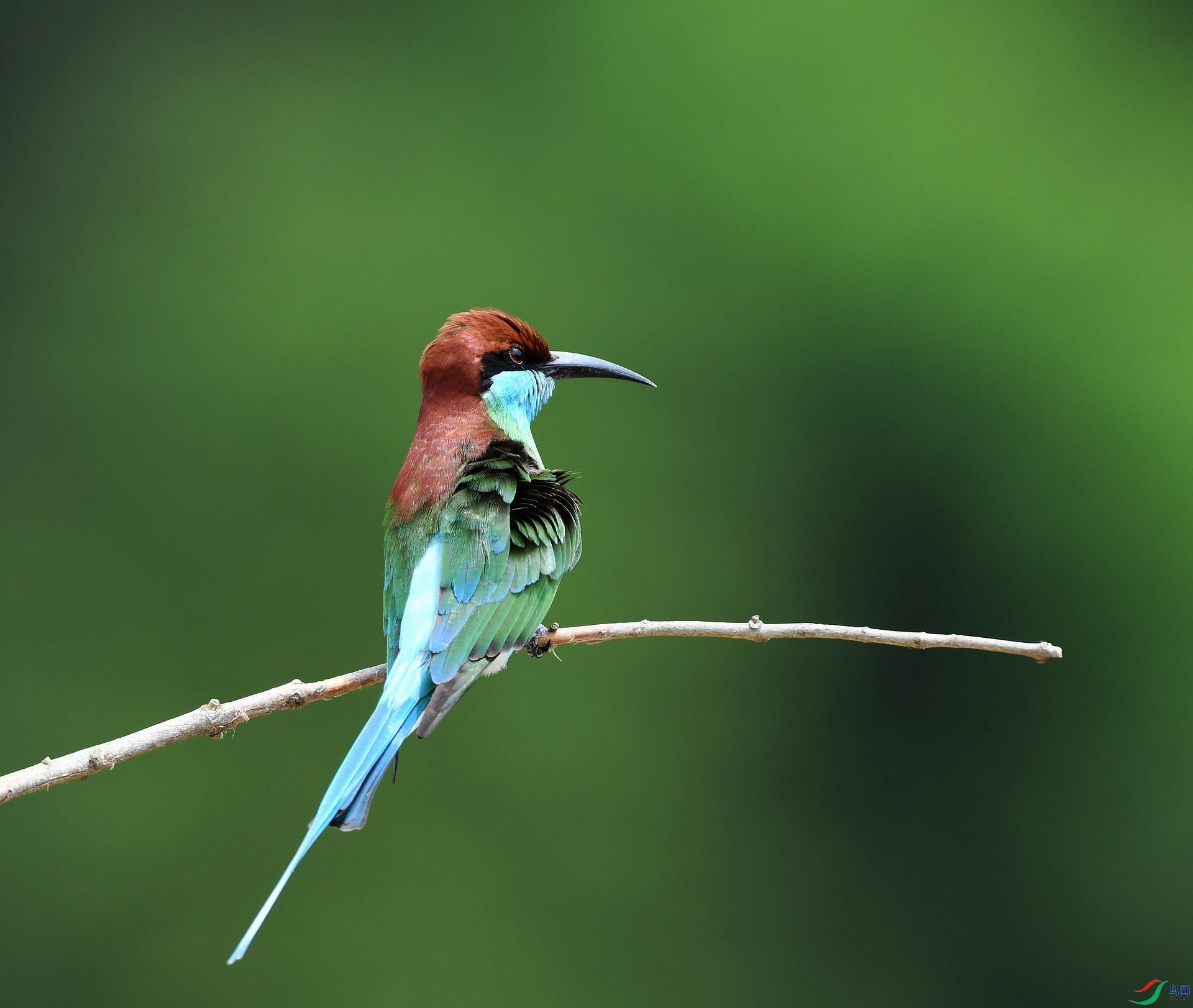 DSC_2300.jpg