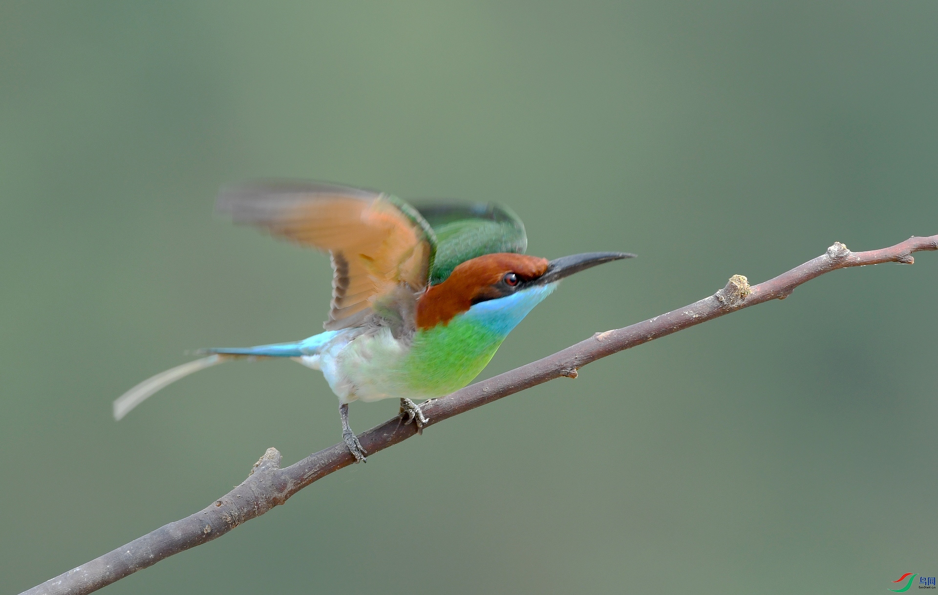DSC_0884.jpg