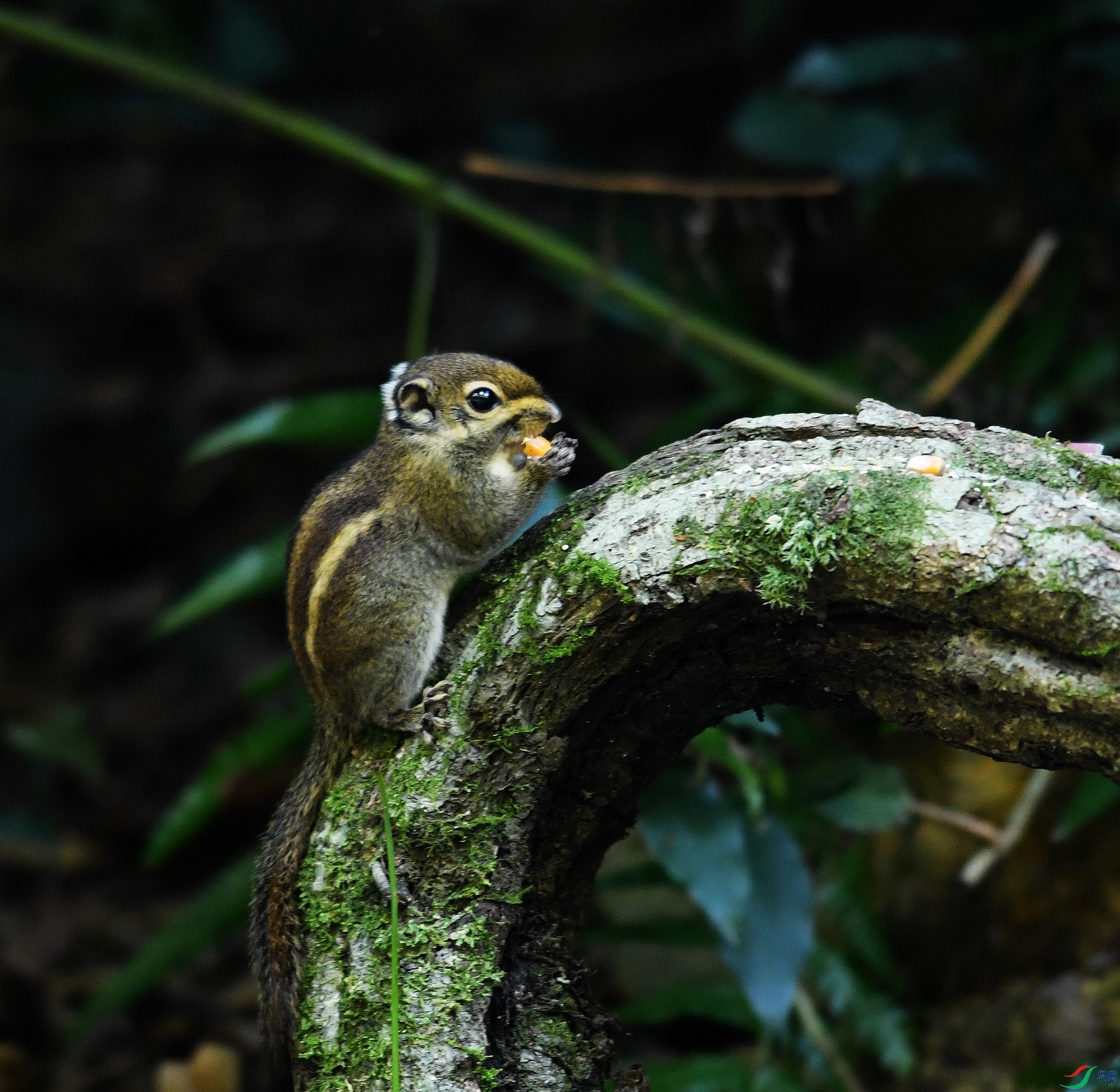 DSC_6299.jpg